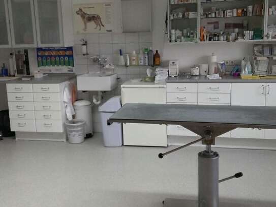 Ansicht 2 von Dr.med.vet. Richard Rullof