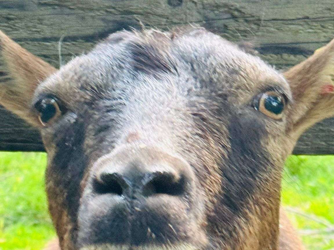 Ansicht 1 von Tierarztpraxis Tegtmeyer - für Großtiere