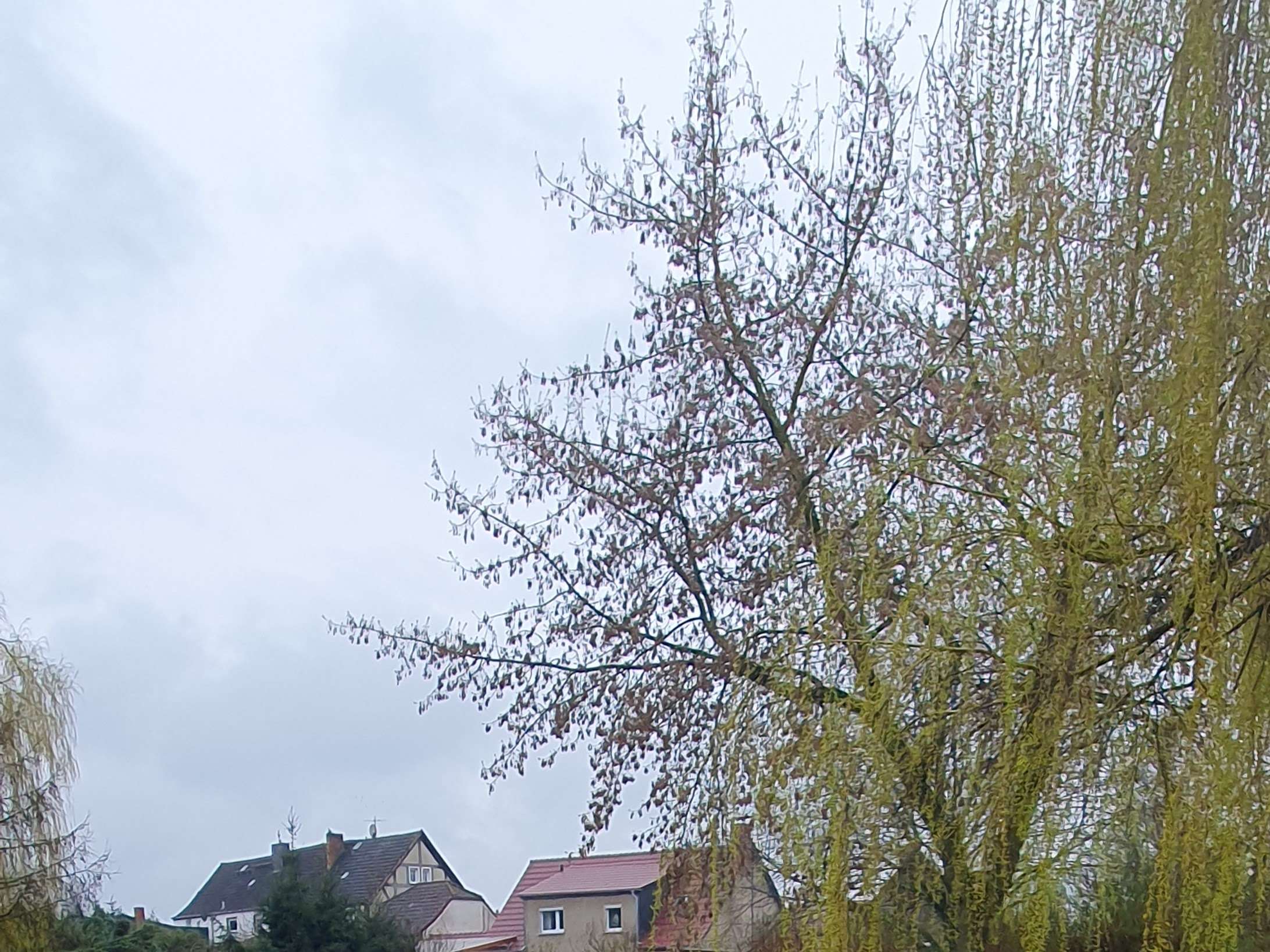 Ansicht 3 von Khan Antje Tierärzte Khan Antje Anjum
