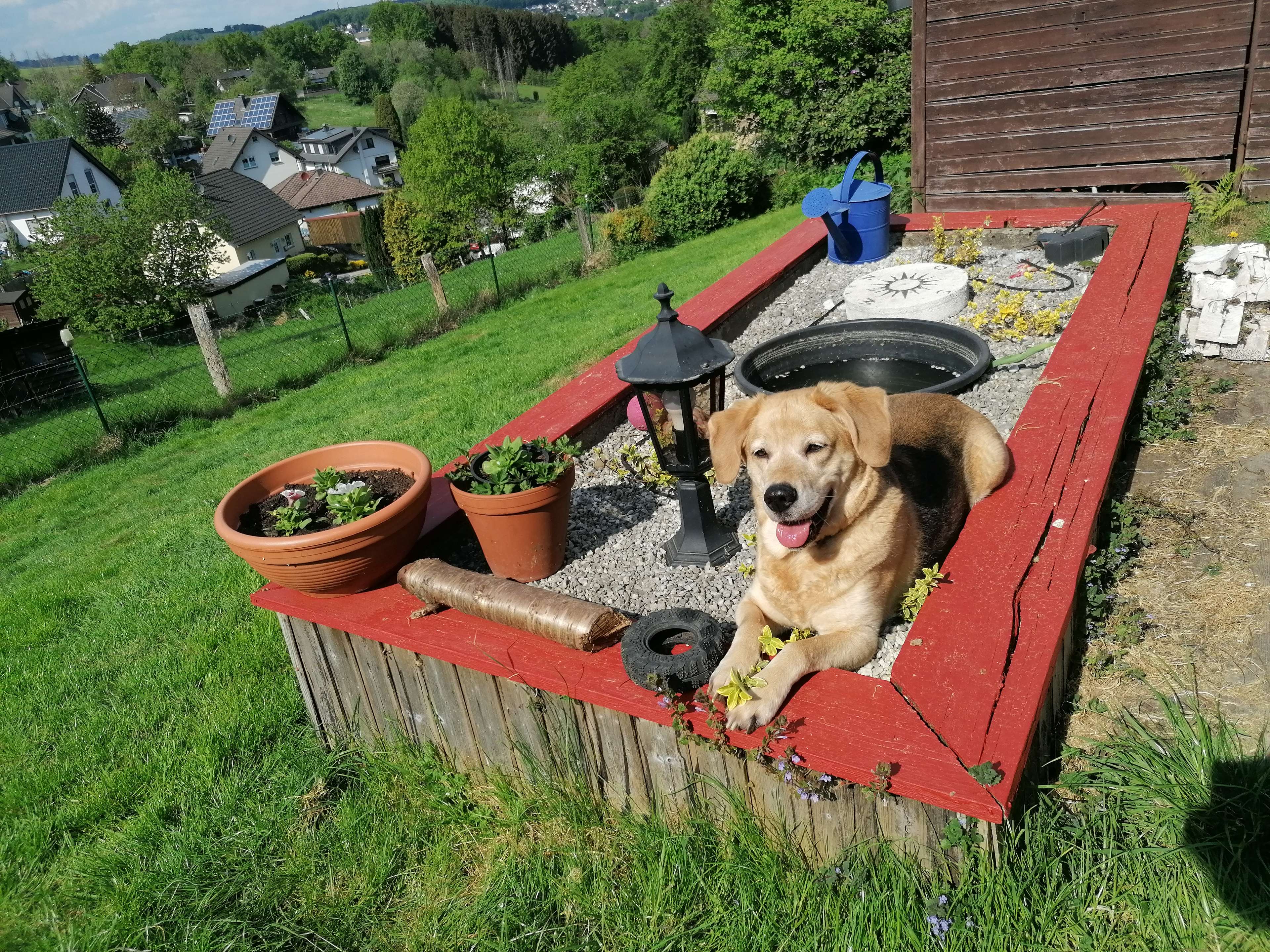 Ansicht 2 von Dr. med. vet. Gerlinde Jux-Straatmann Tierärztin