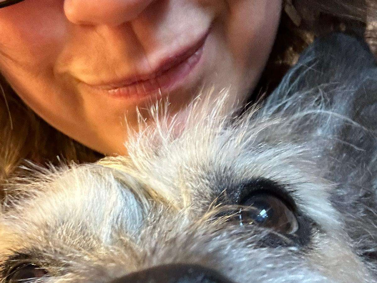 Ansicht 2 von Tierarztpraxis Dr. Sandra Bruckner