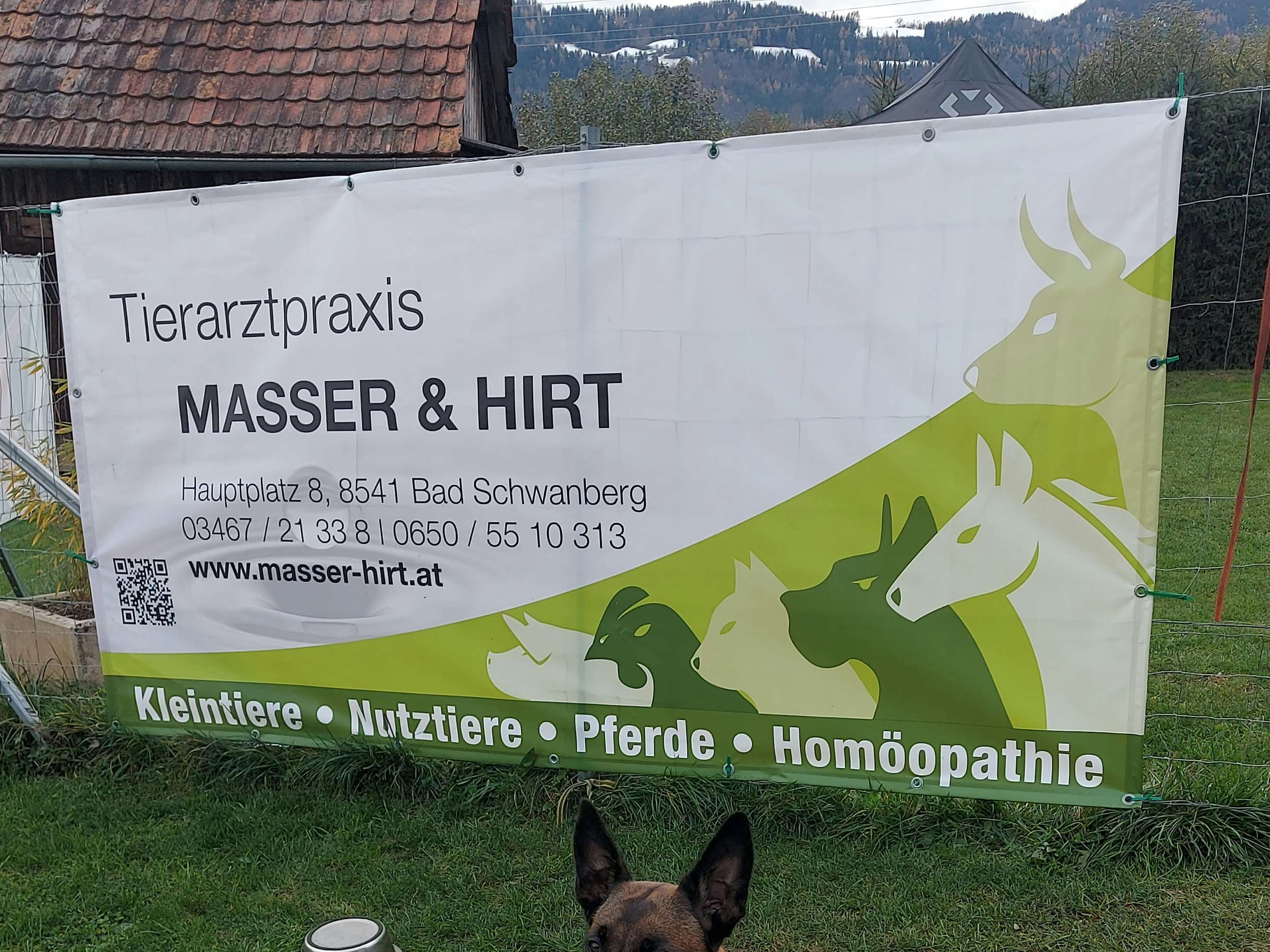 Ansicht 2 von Tierarztpraxis Riccarda Masser