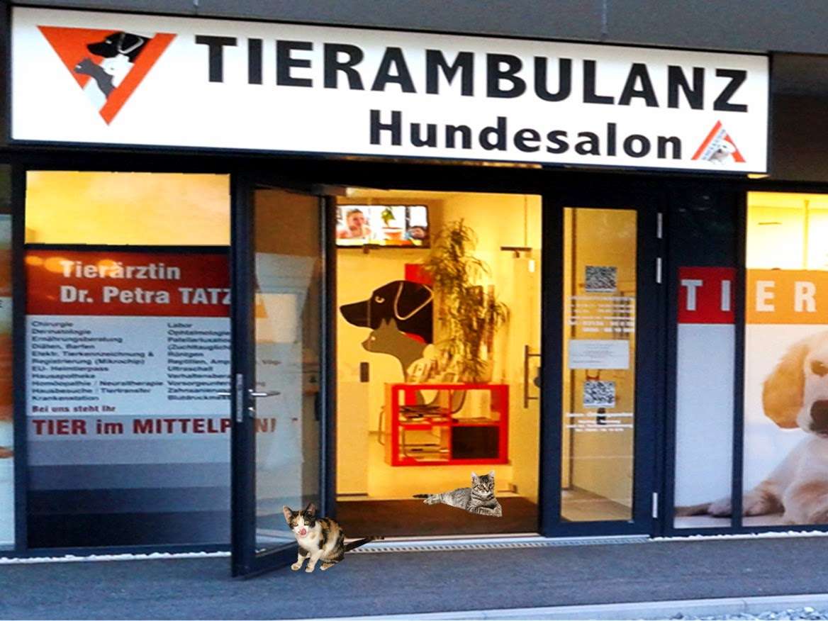 Ansicht 1 von TIERAMBULANZ Premstätten - Dr. Petra Tatzer