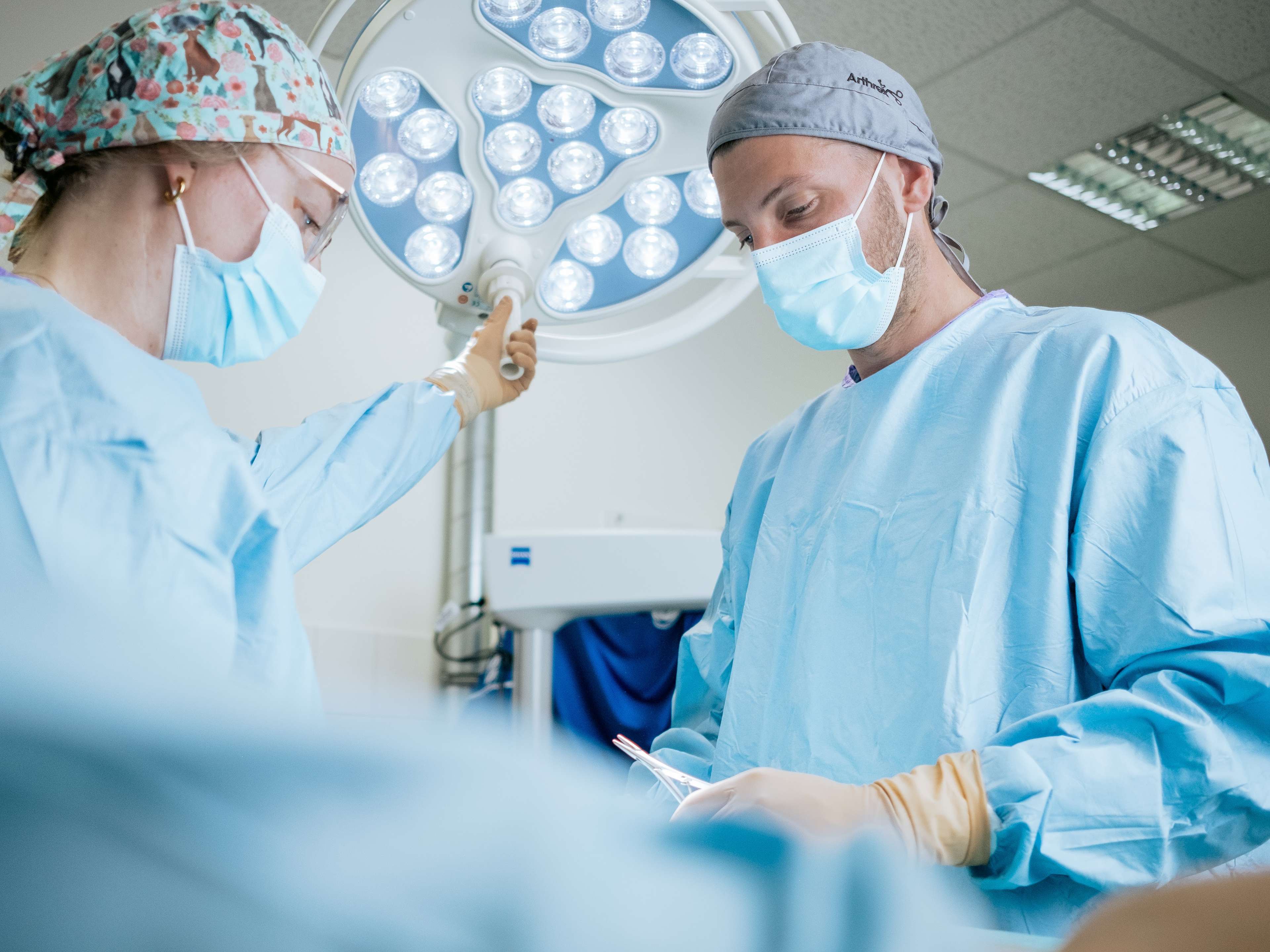 Ansicht 1 von Tiergesundheitszentrum Hamburg