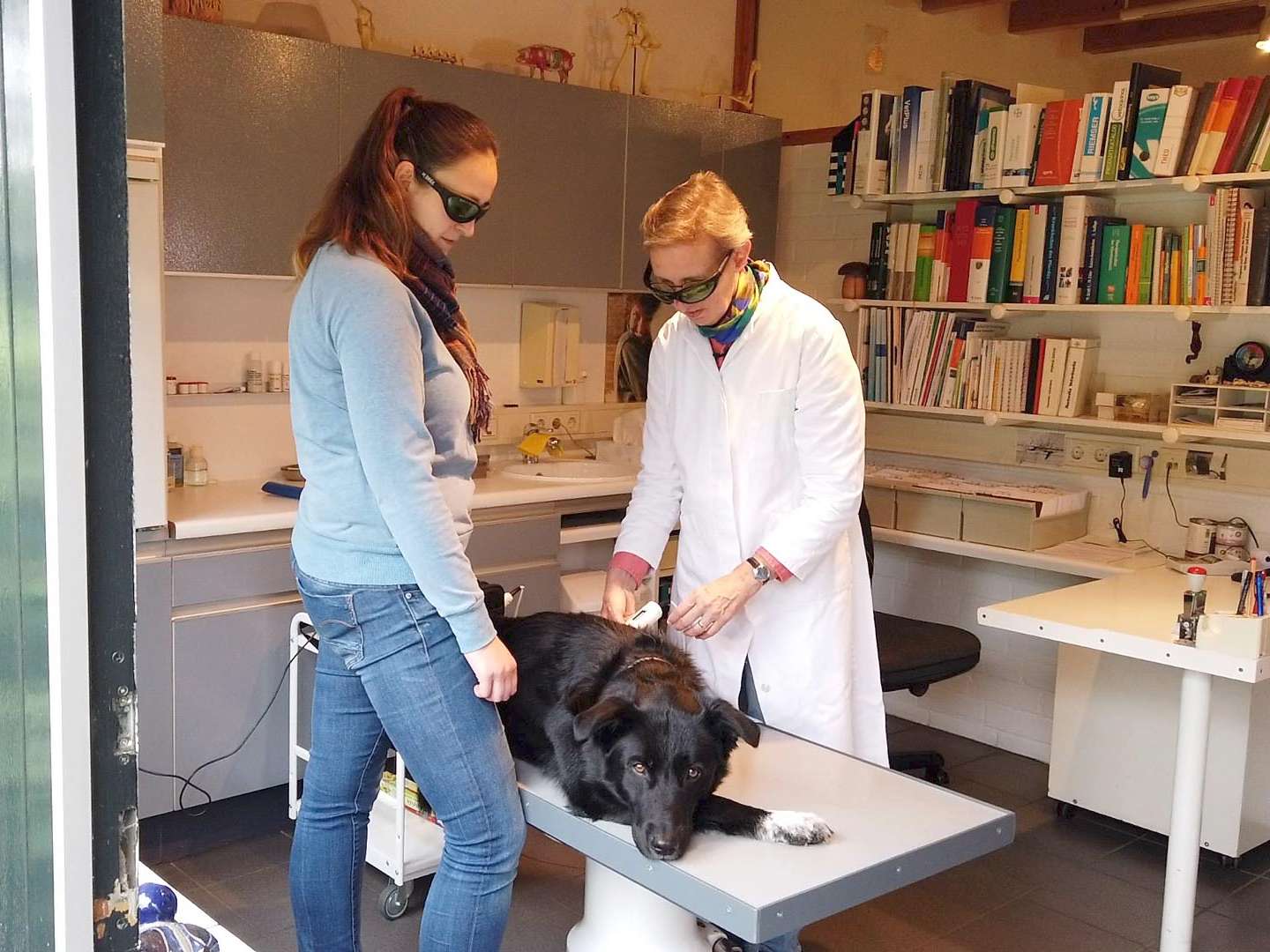 Ansicht 2 von Dr. Christine Menges Tierärztin