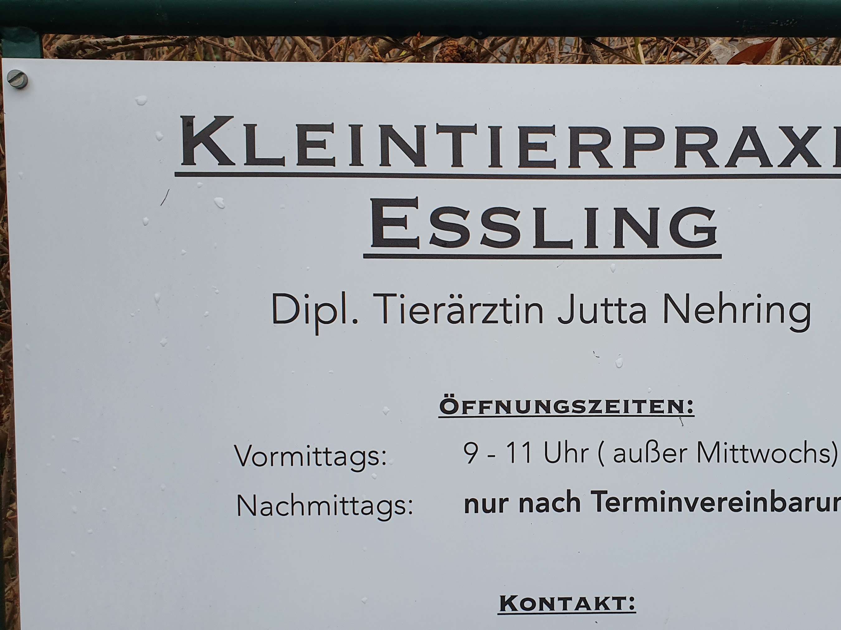 Ansicht 1 von Dipl-TA Jutta Nehring