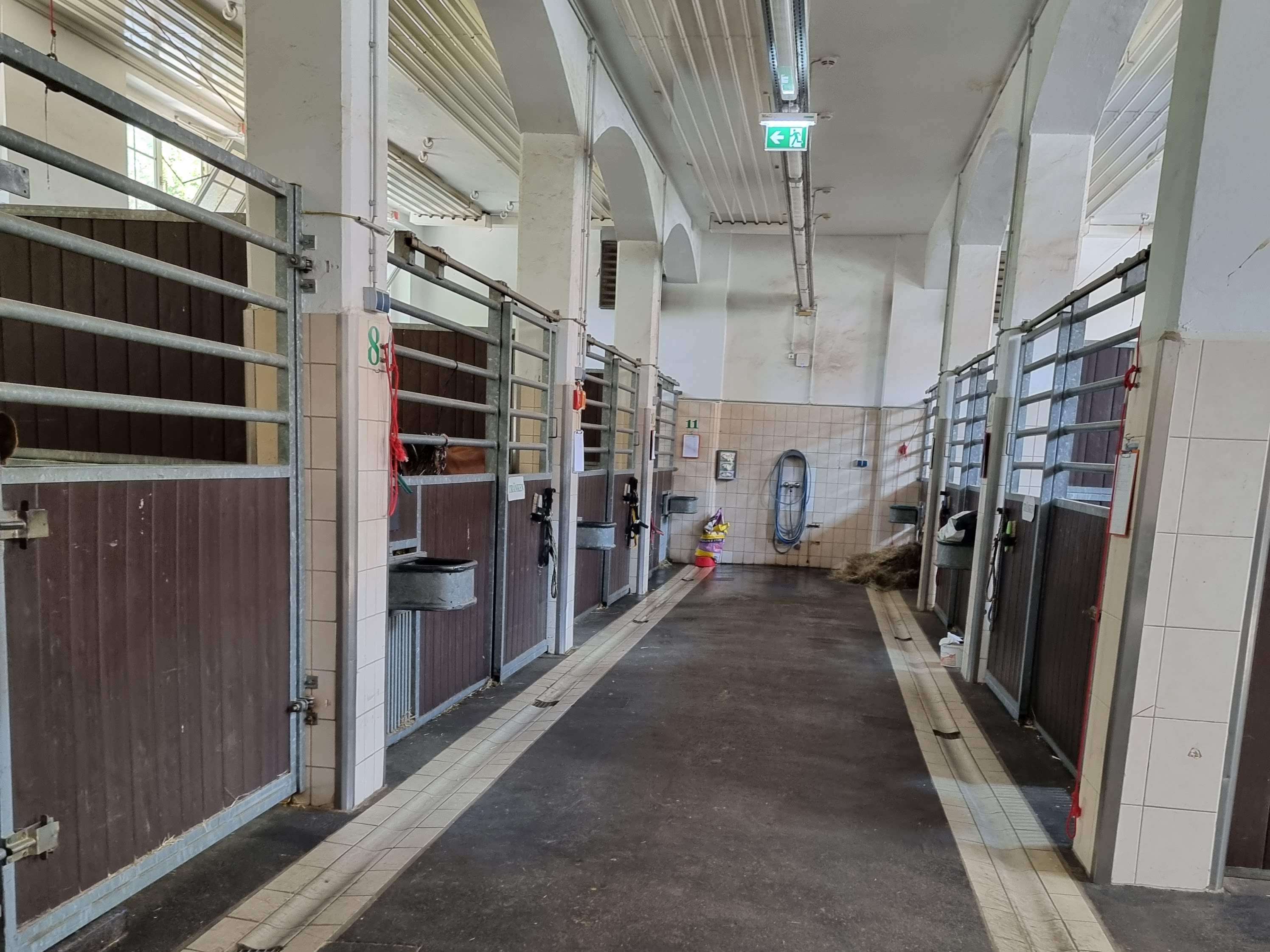 Ansicht 1 von Universität Leipzig - Klinik für Pferde (Chirurgie)