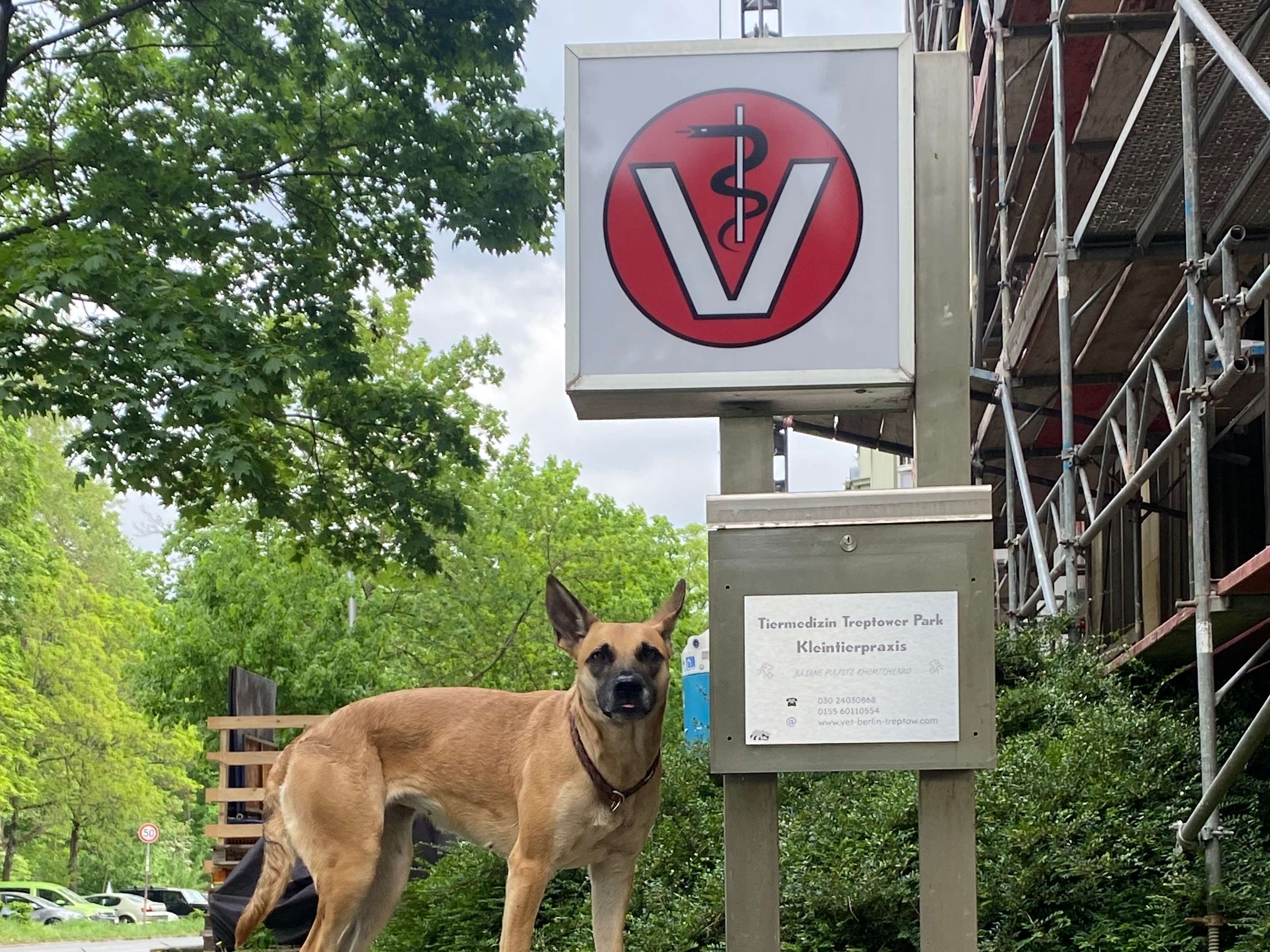 Ansicht 3 von TIERMEDIZIN TREPTOWER PARK