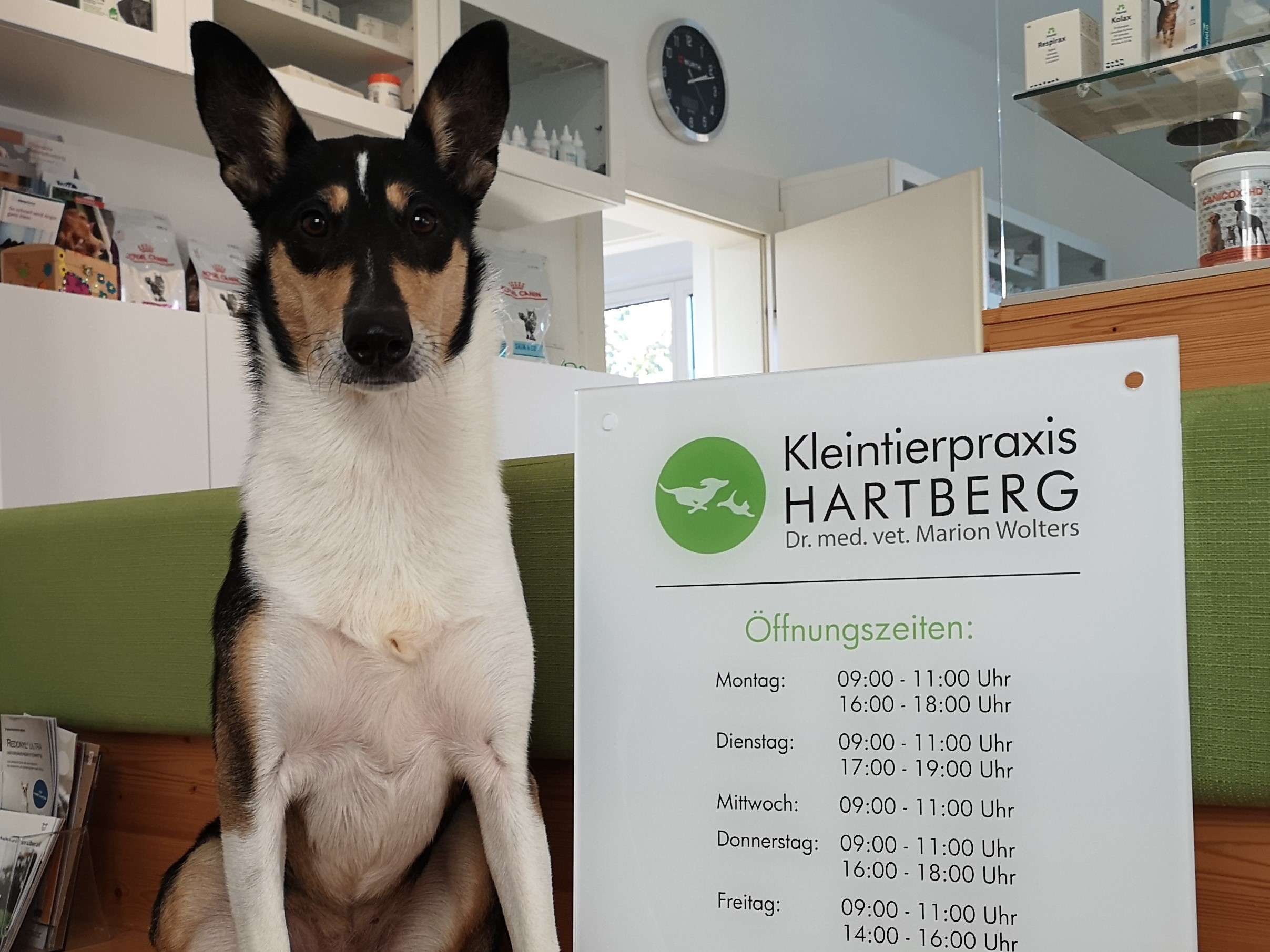 View 1 of Kleintierpraxis Hartberg