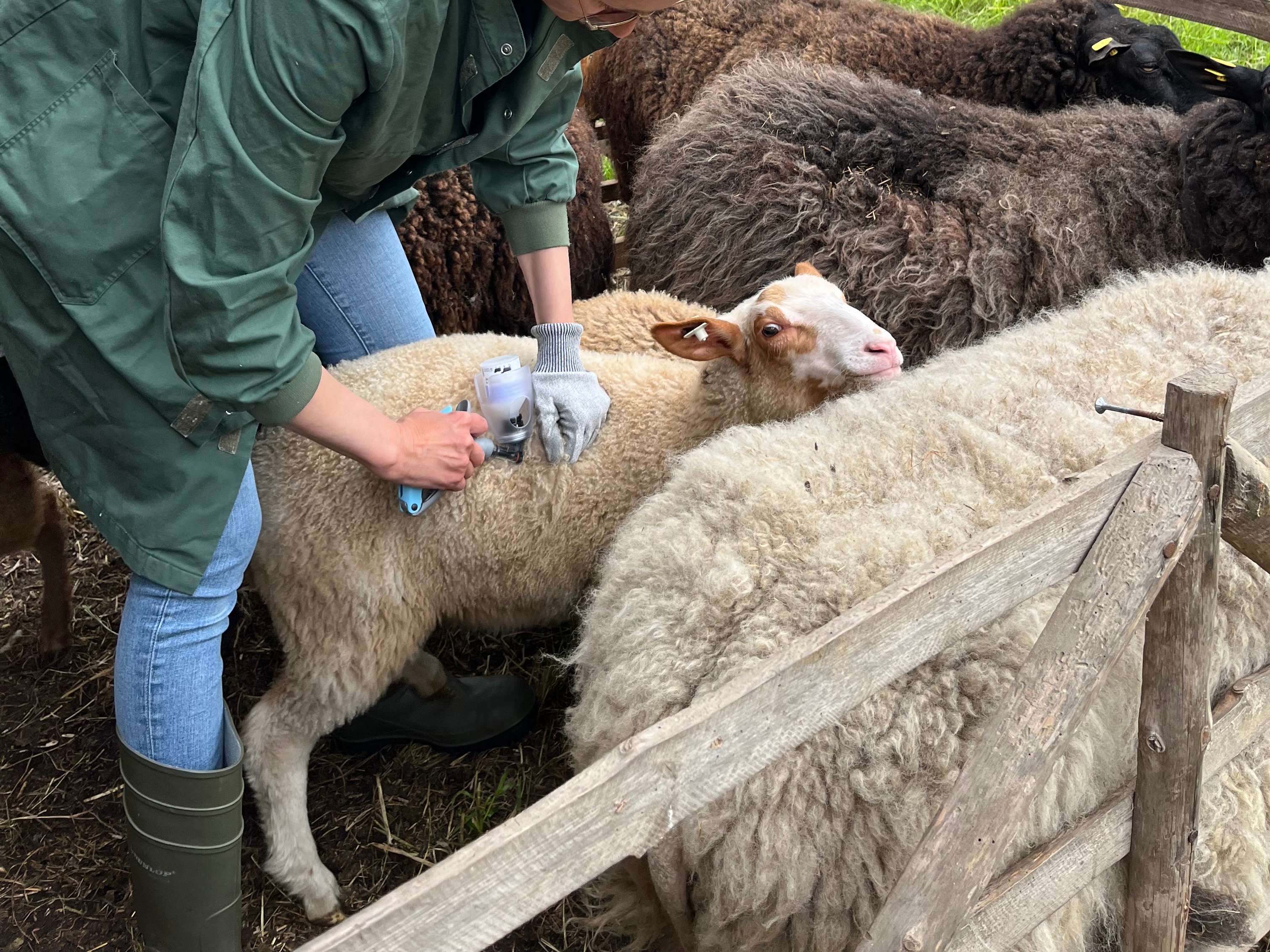 Ansicht 1 von Tierärztin I. Haferkorn