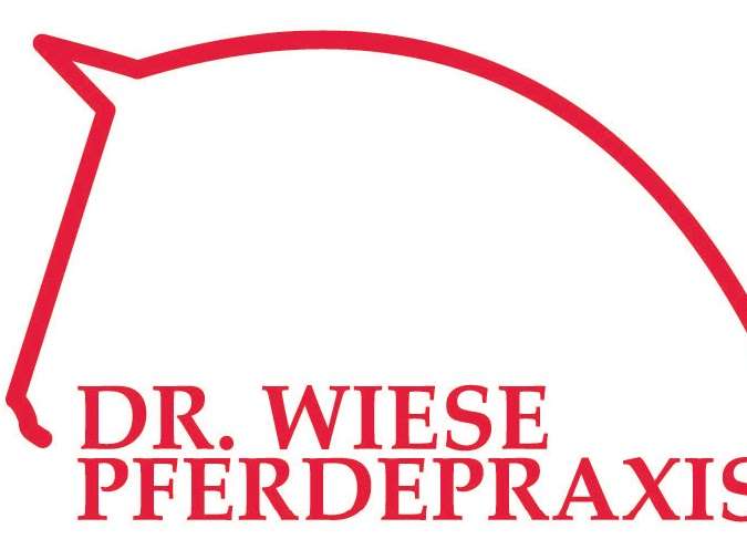 View 1 of Wiese Kai Boris Pferdepraxis