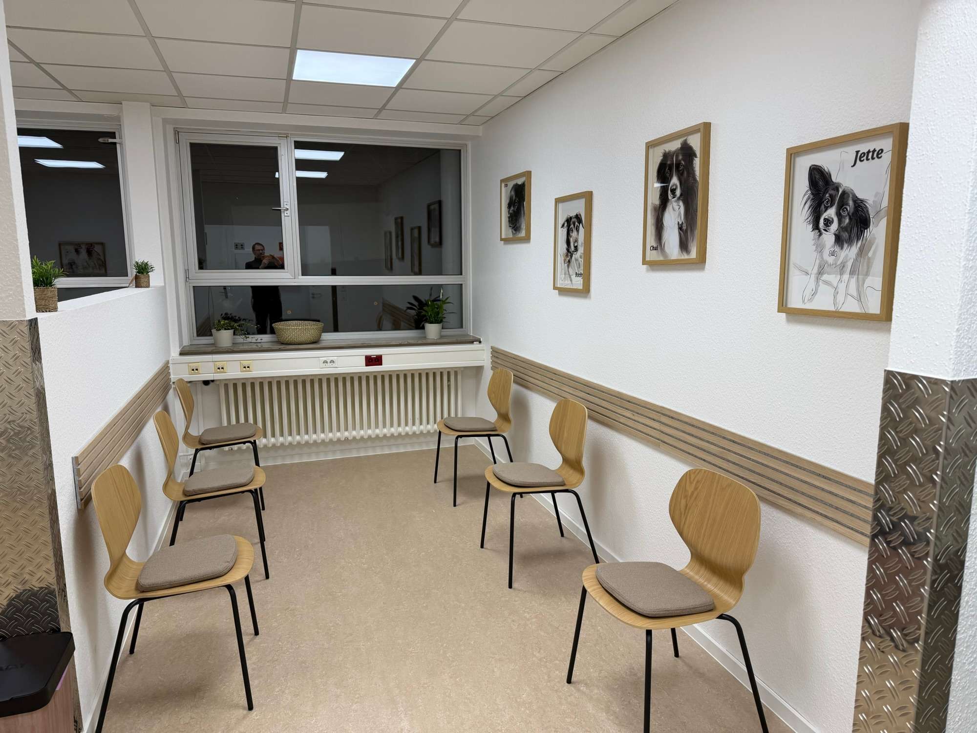 Ansicht 1 von Deine Haustierpraxis