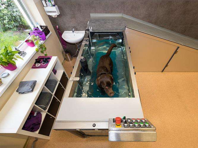 View 1 of Zentrum für Tierphysiotherapie & Rehabilitation Mag. vet. med Sandra Stastny