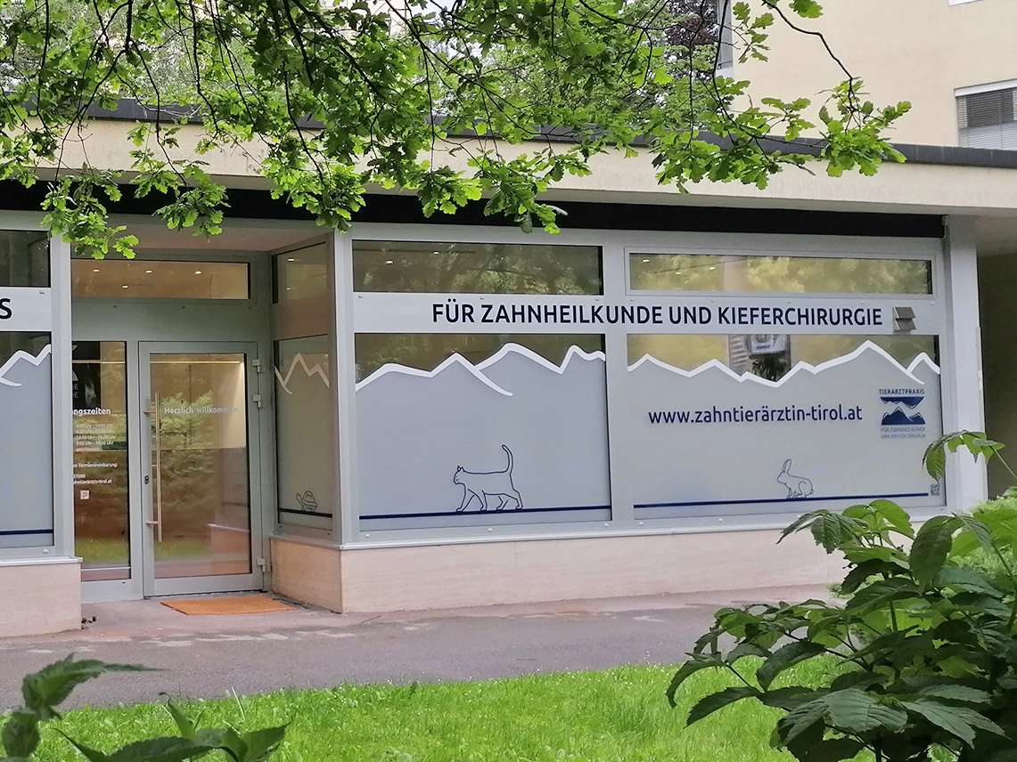 View 1 of Tierarztpraxis­ für Zahnheilkunde und Kieferchirurgie­­ - Dr. Spyra