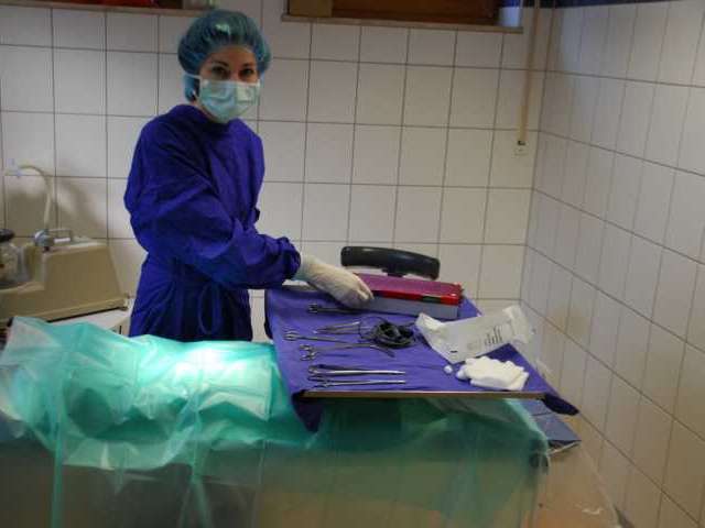 View 2 of Dr.med.vet. Marion Andreas