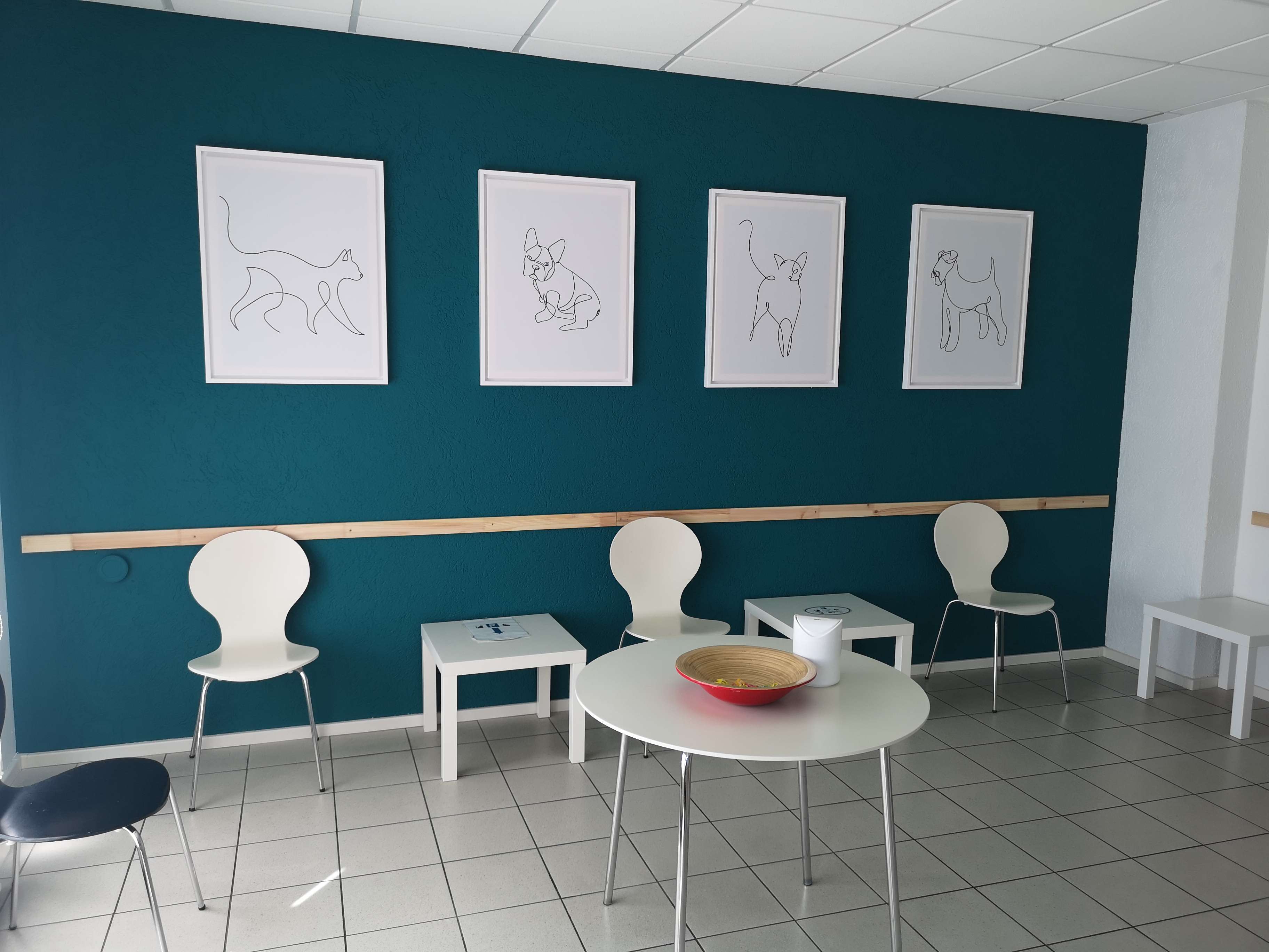 Ansicht 3 von Tierarztpraxis Kaulsdorf-Süd, Tierärztin F.Juraske