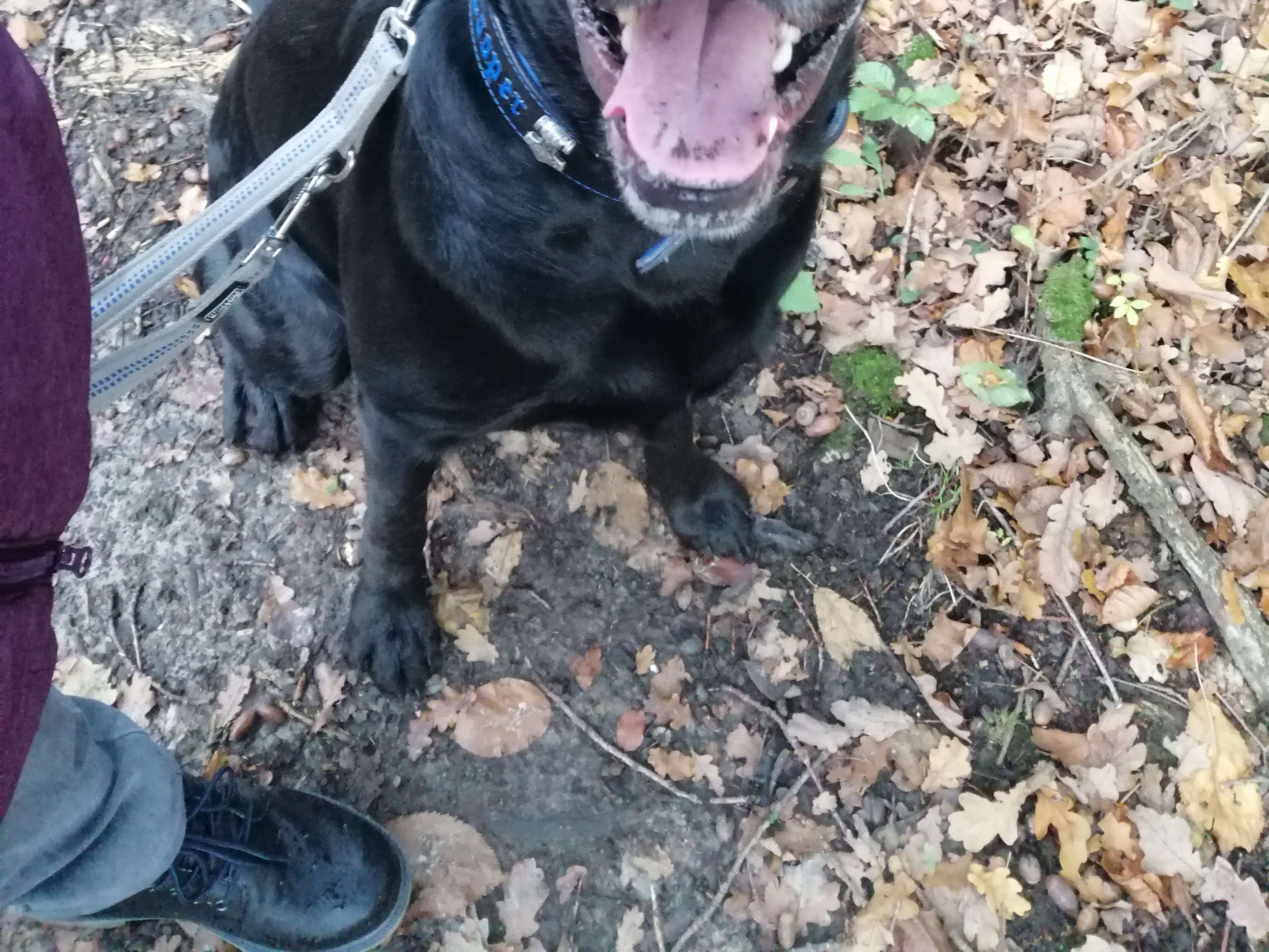 View 3 of Tierarztpraxis Hudenbeck Dr. von Rundstedt