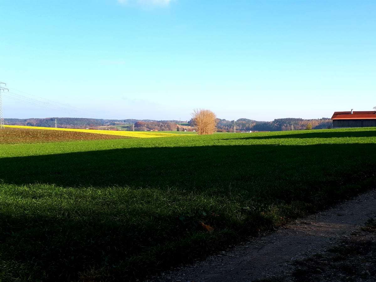 Ansicht 2 von Dr. Katja Nitschke, Tierärztin