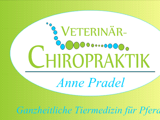 Ansicht 2 von Veterinär-Chiropraktik Anne Pradel _ Ganzheitliche Tiermedizin für Pferde