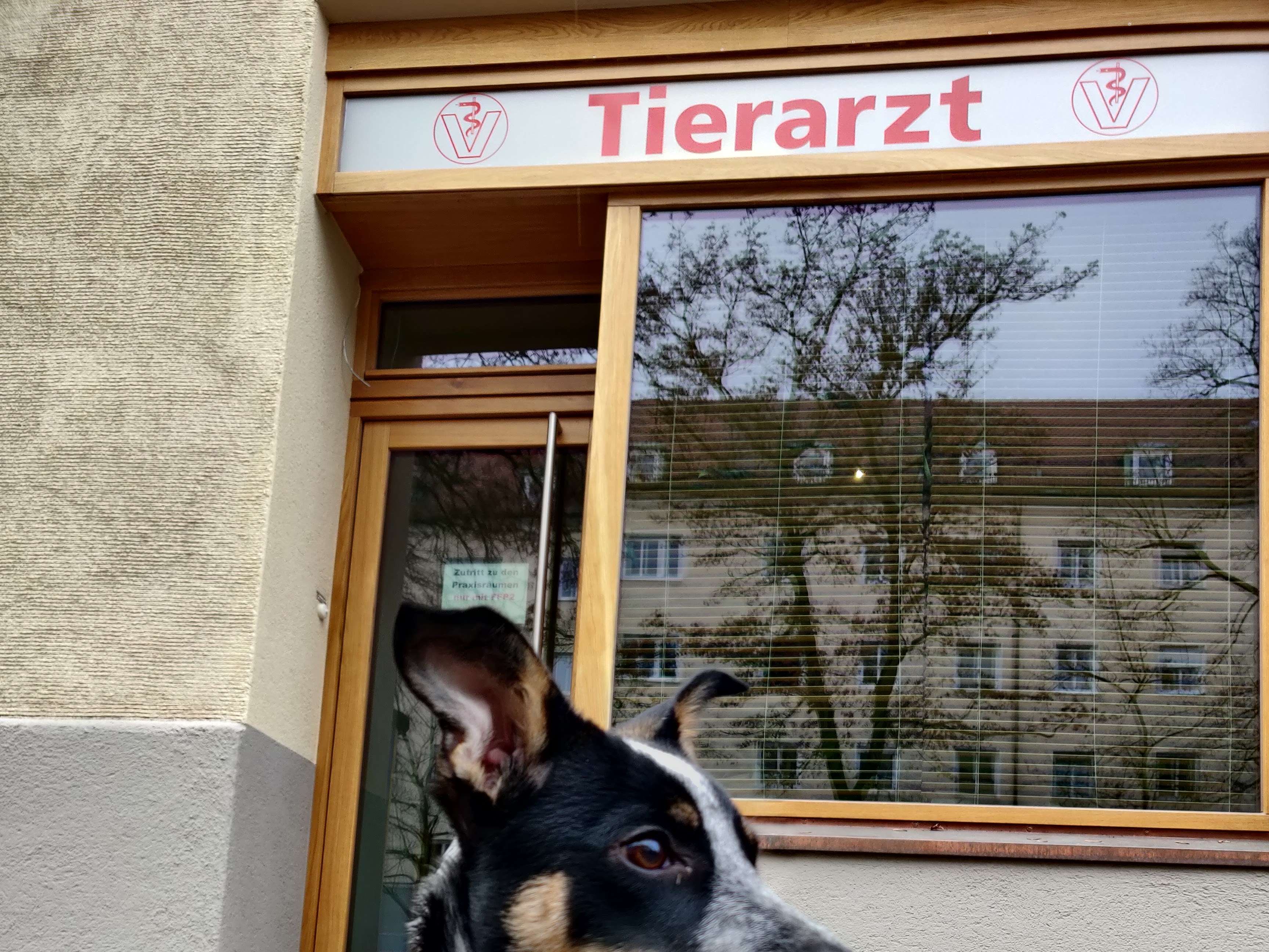 Ansicht 2 von Tierarztpraxis Christian Kießling