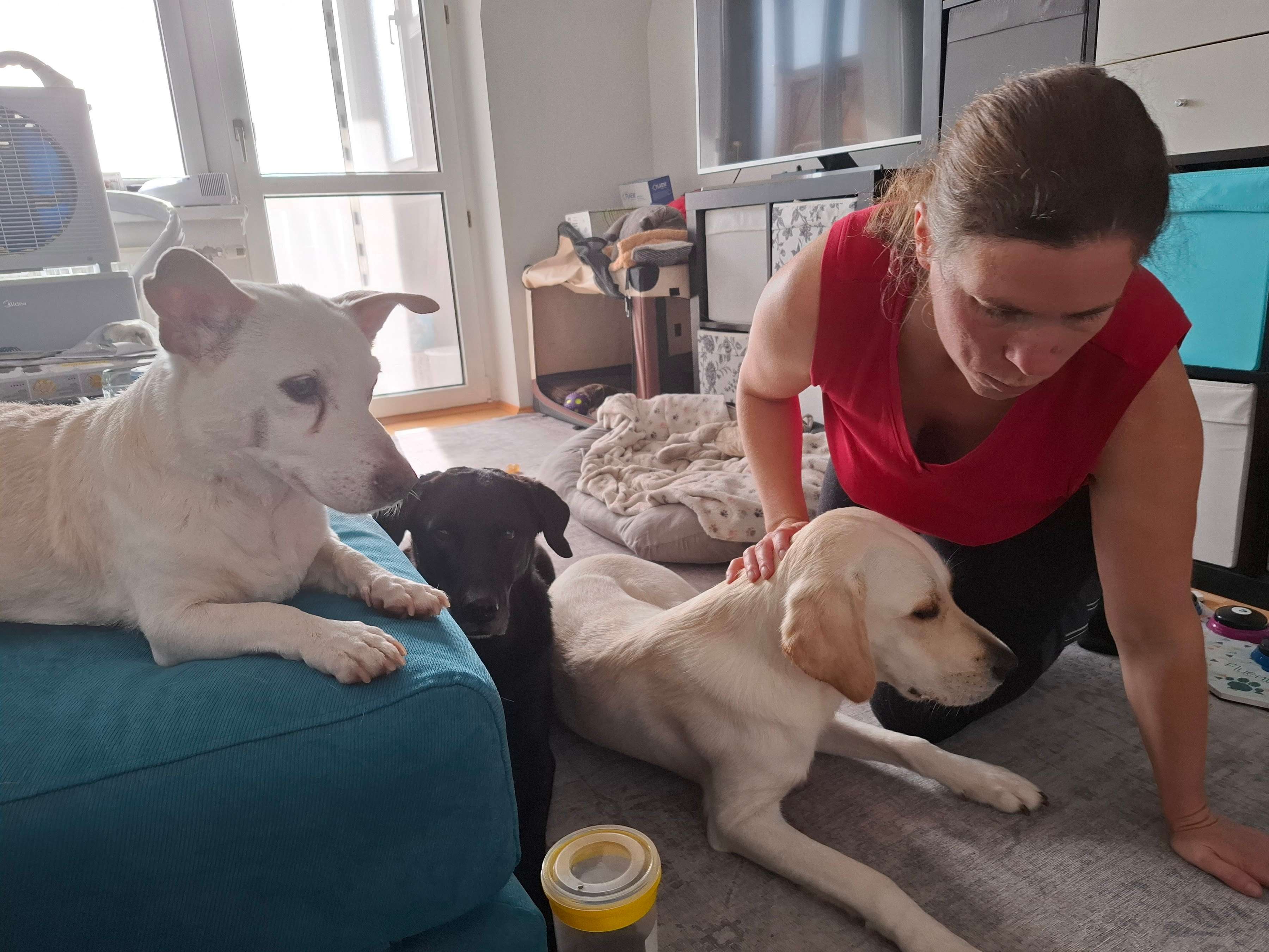 Ansicht 2 von Tierphysiotherapie & ganzheitliche Tiermedizin - Dr. vet. Barbara Weidinger