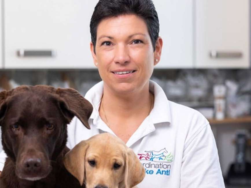 Ansicht 1 von Ordination Elke Antl - ganzheitliche Tierarztpraxis - Furth bei Göttweig