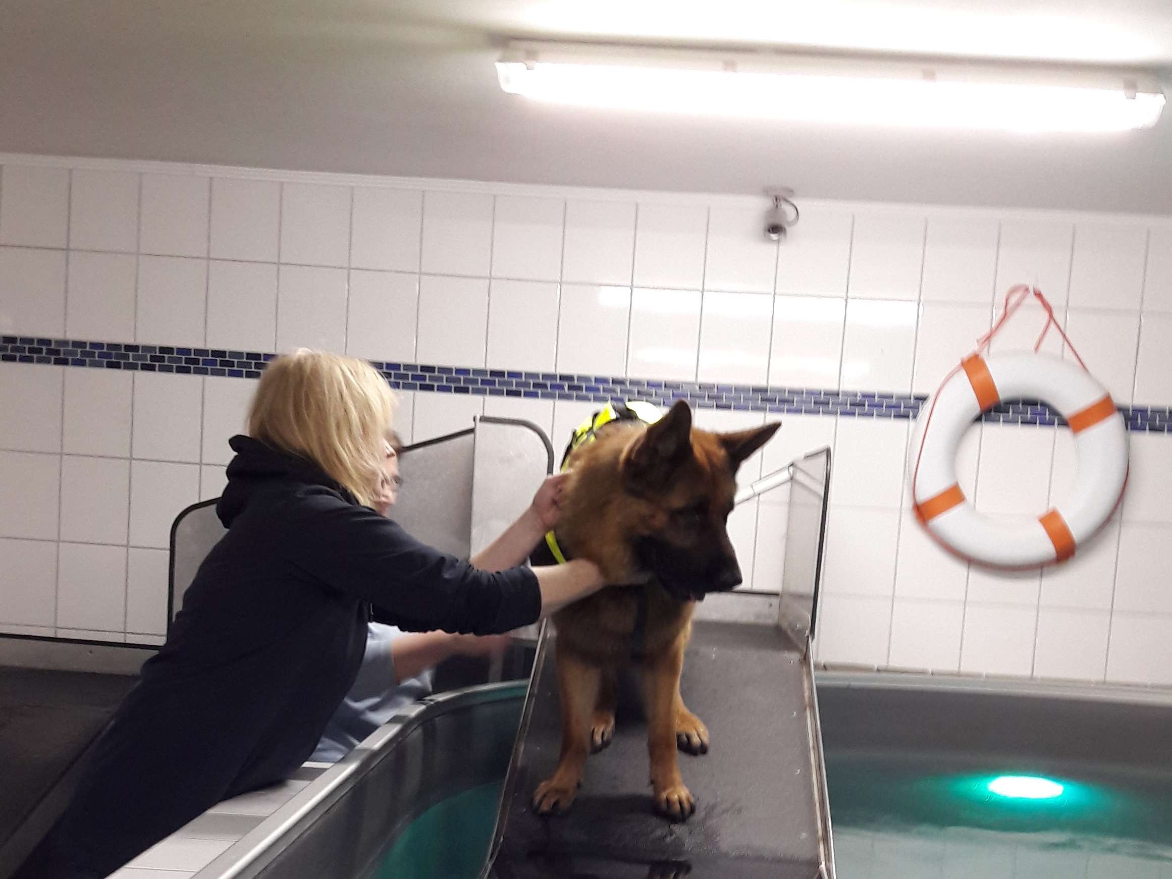 Ansicht 2 von Tierisch Vital Tierphysiotherapie - Lisa Keller