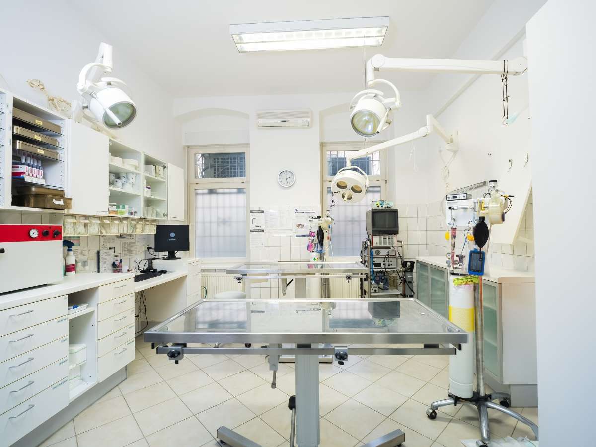 Ansicht 4 von Tierarzt Berlin Prenzlauer Berg, Tierarztpraxis am Arnimplatz