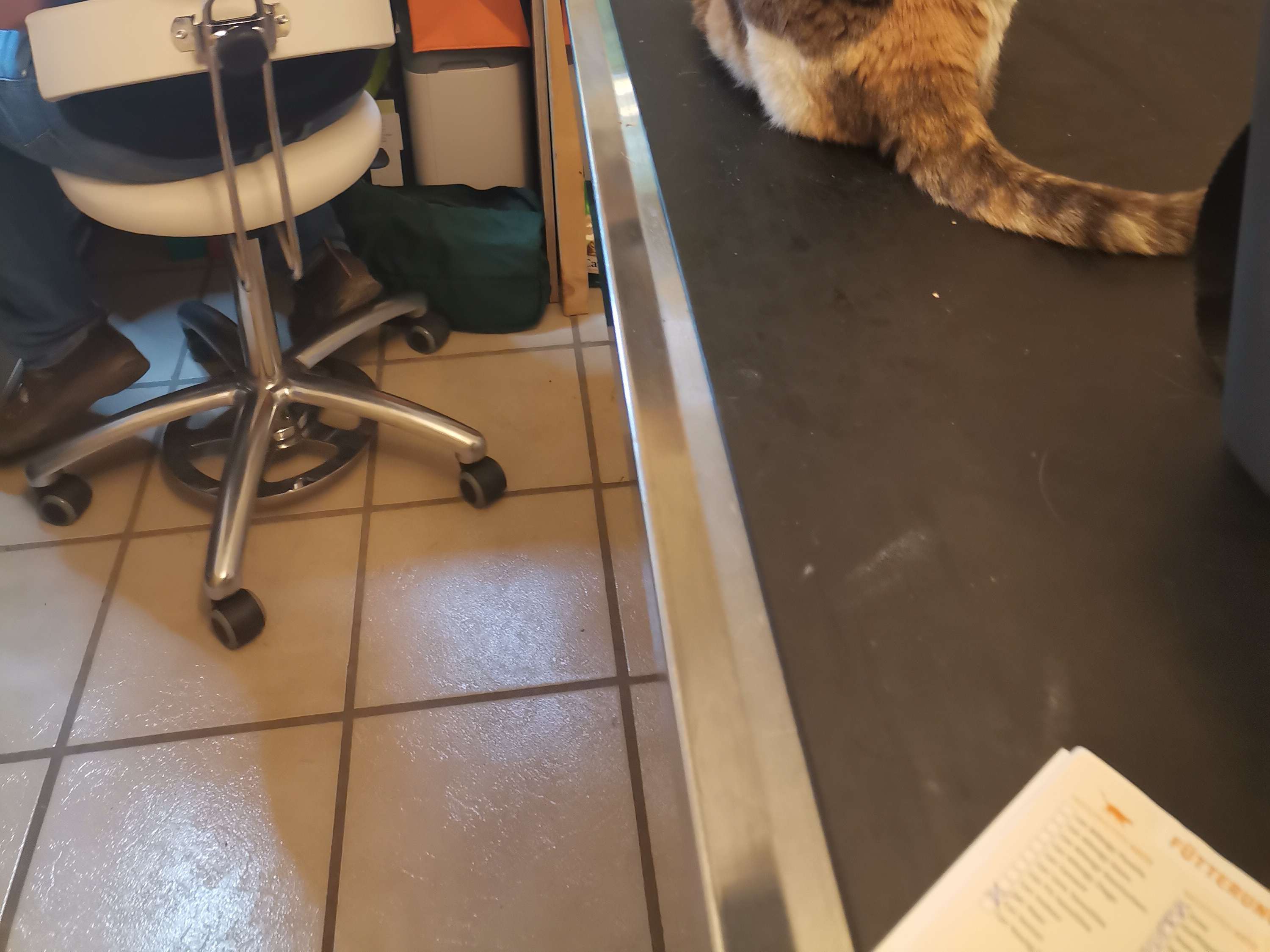 Ansicht 2 von Tierärzte forchheim.vet