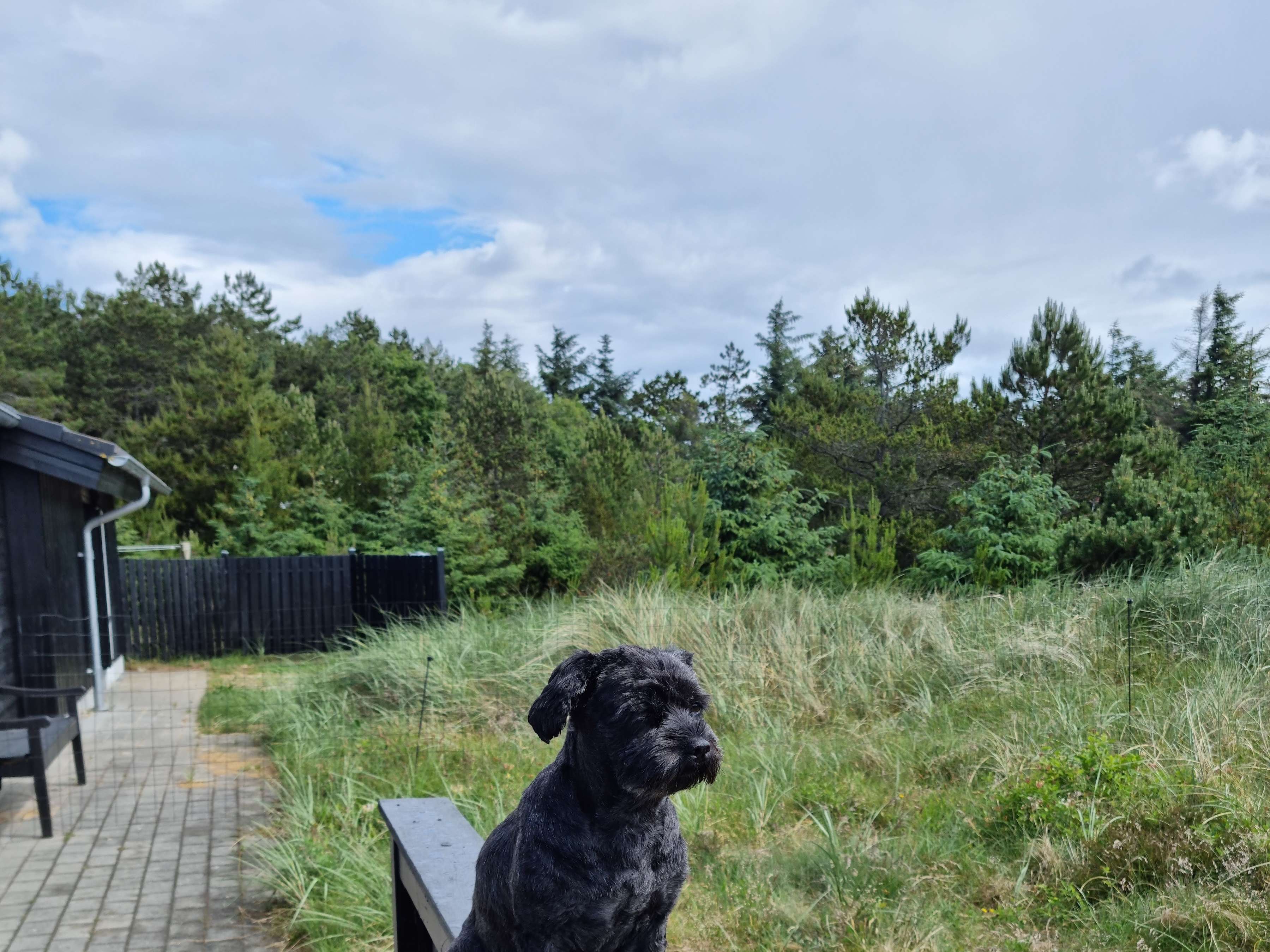 Ansicht 2 von Kleintierpraxis Heide Kersten