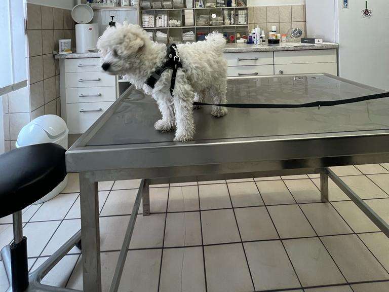 View 3 of Dipl.-Vet.-Med. Jörg Porada