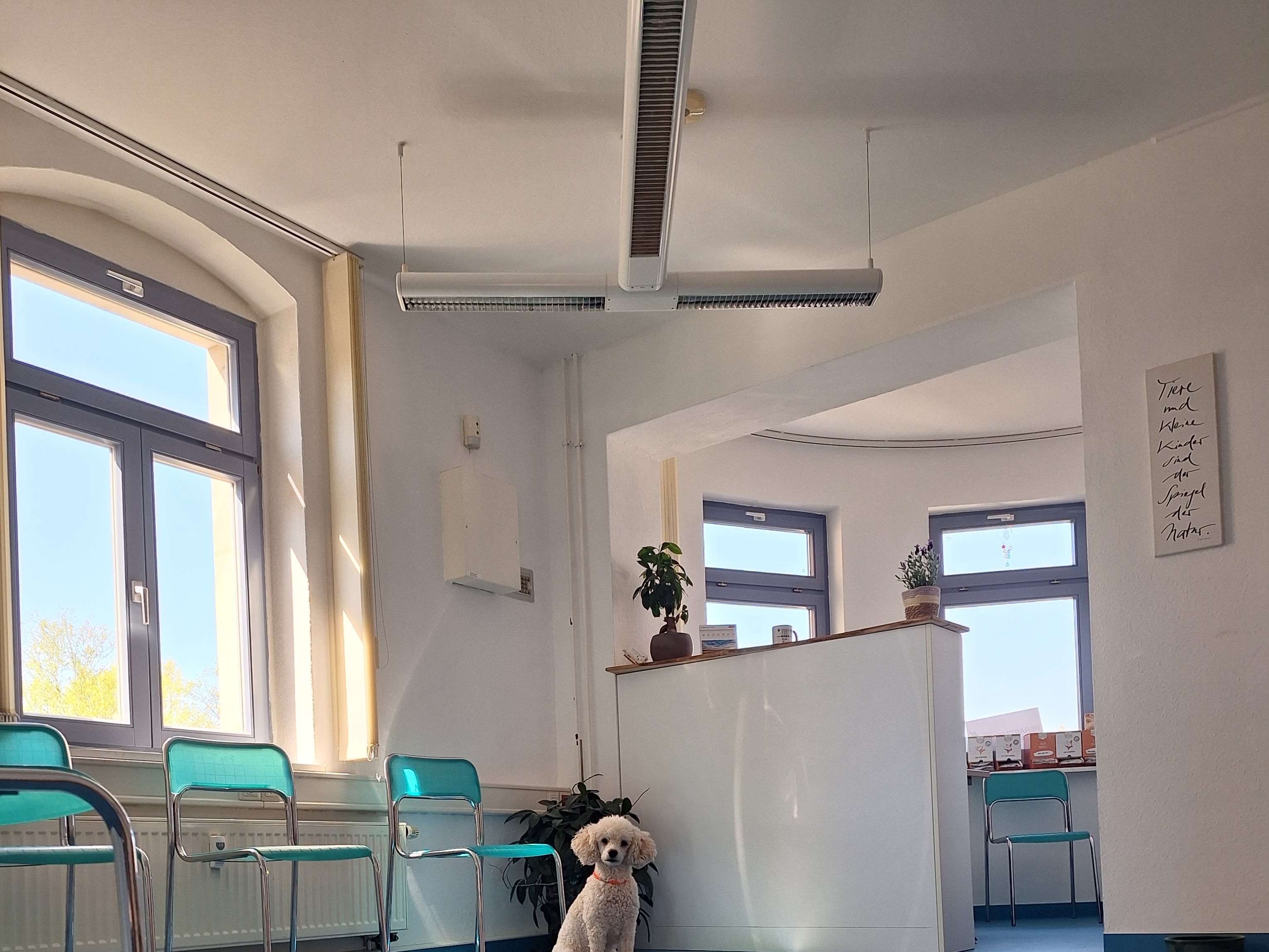 Ansicht 3 von Tierarztpraxis Kujus & Uhlig