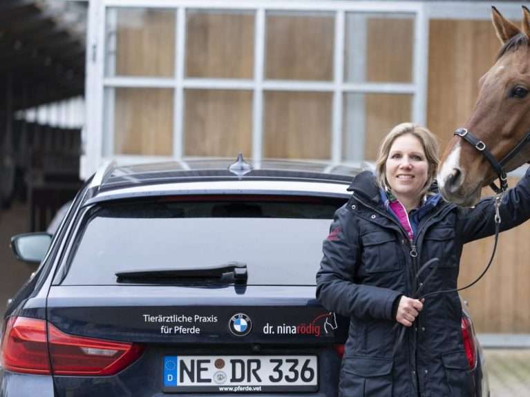 Ansicht 2 von Tierärztliche Praxis für Pferde Dr. Nina Rödig - Fachtierärztin