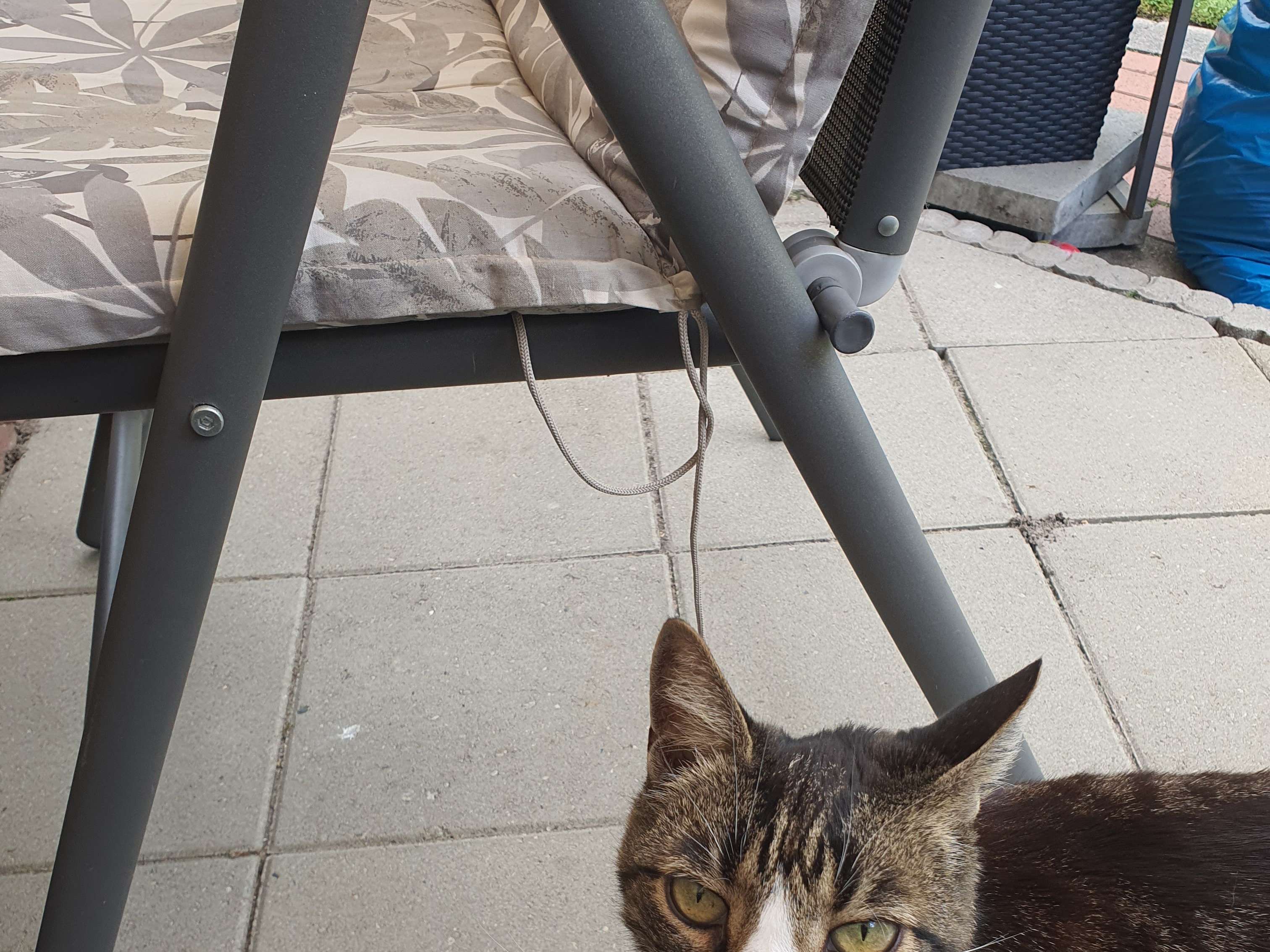 Ansicht 3 von Medivet Tierarztpraxis Pinneberg