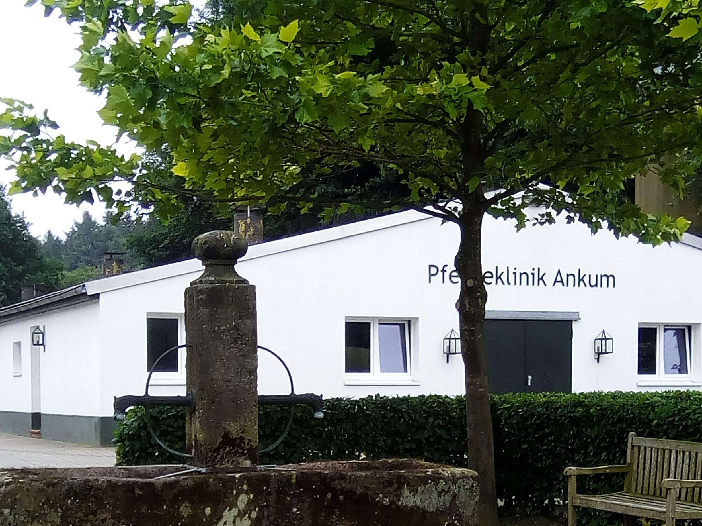 Ansicht 3 von Pferdeklinik Ankum