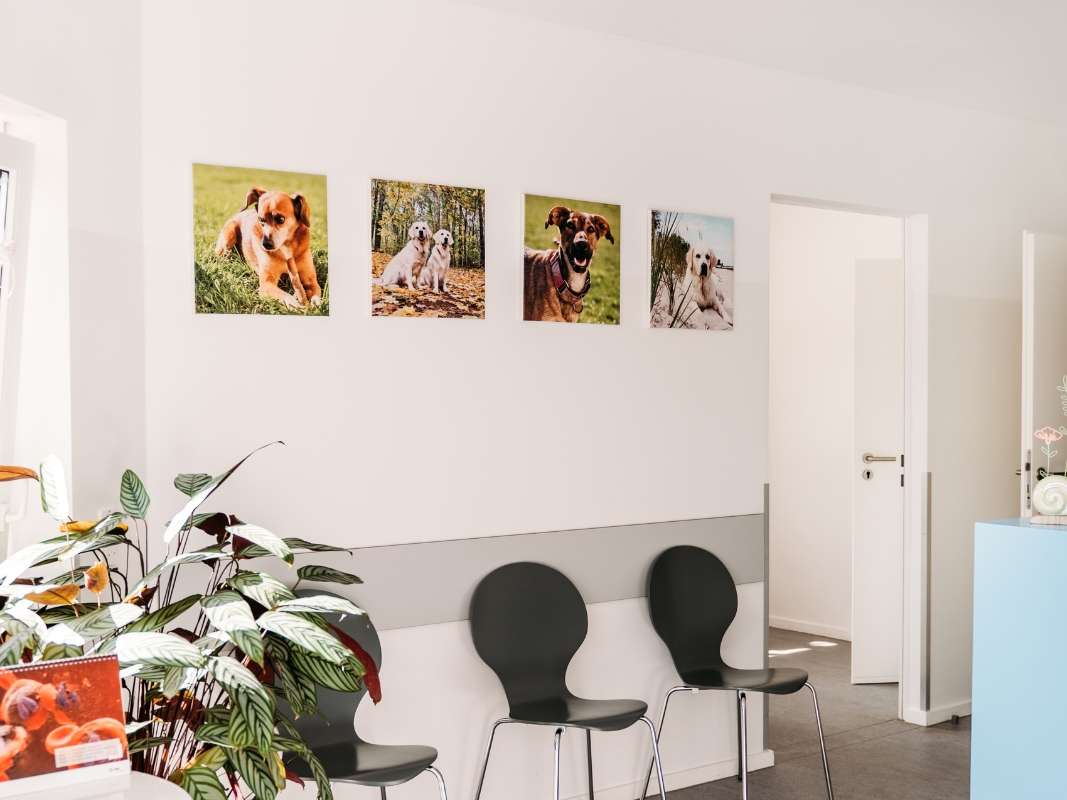 Ansicht 5 von Tierarzt Vormum Berlin-Mahlsdorf, Tierarztpraxis am Wildrosengehölz