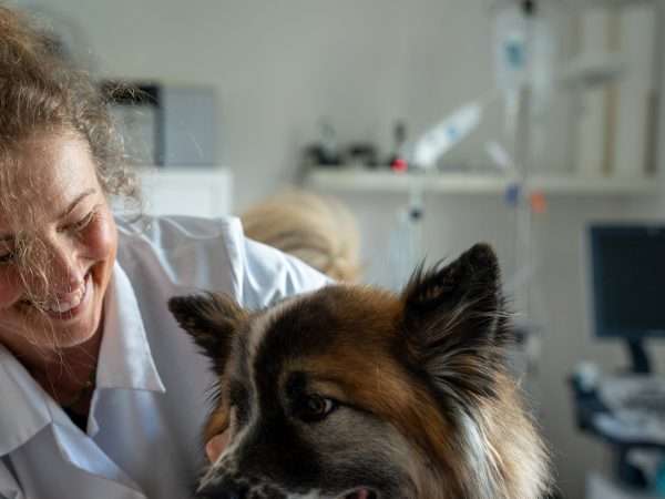 Ansicht 2 von Tierarztpraxis Dr. Ellen Eringer