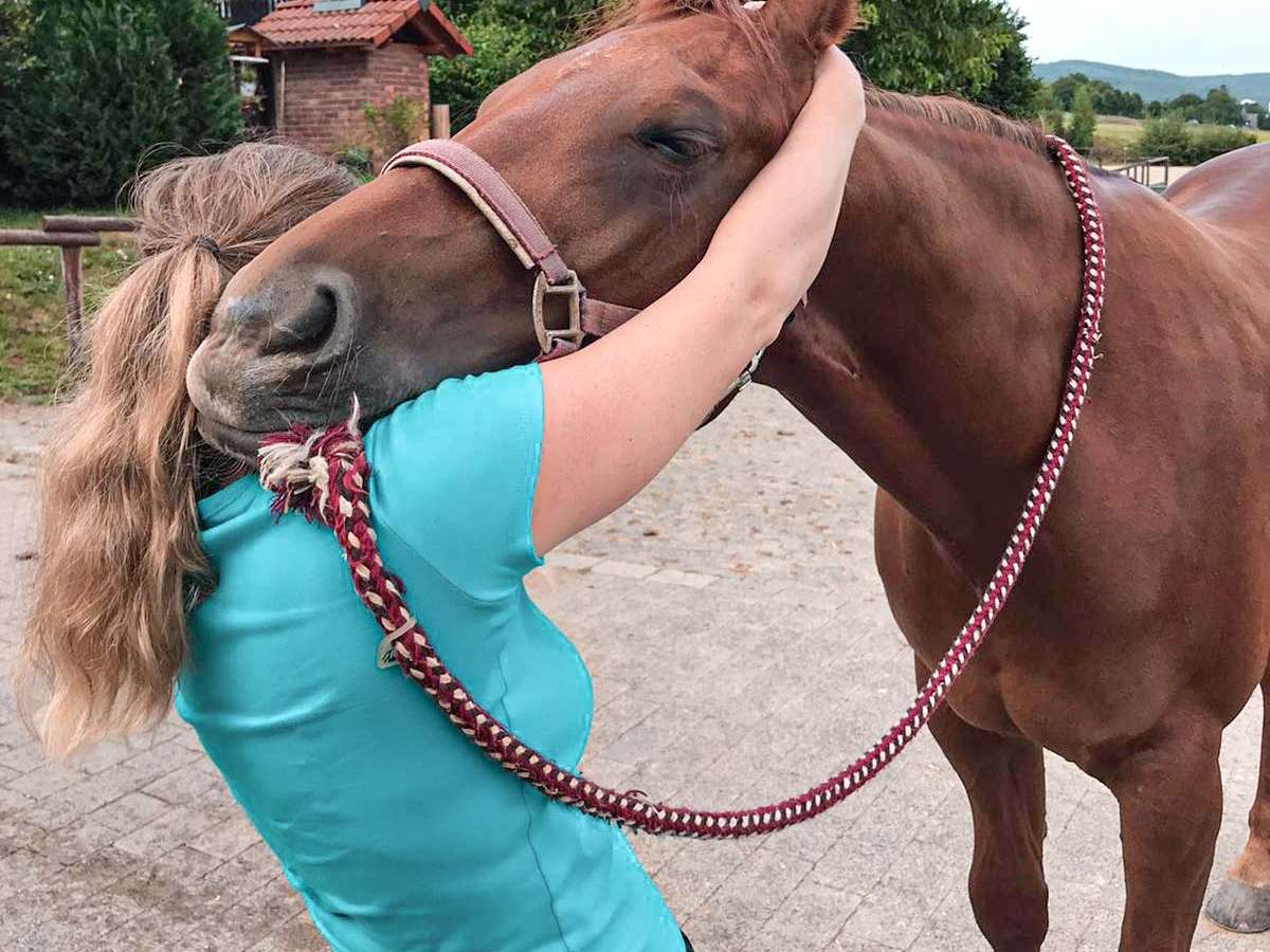 Ansicht 2 von Tierarzt & Osteopathie Claudia Otto