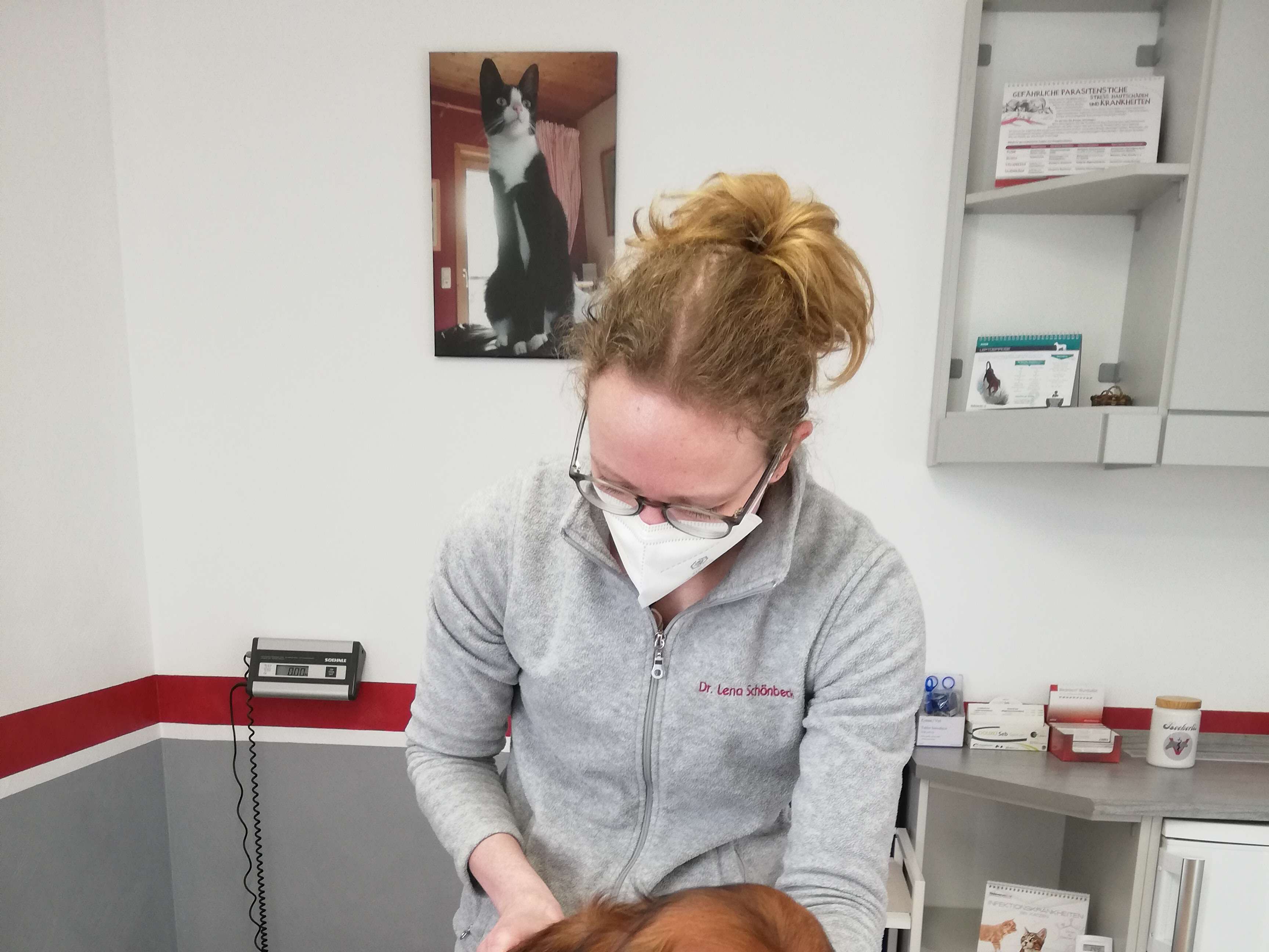 View 1 of Tierarztpraxis für Chiropraktik Dr. Lena Schönbeck
