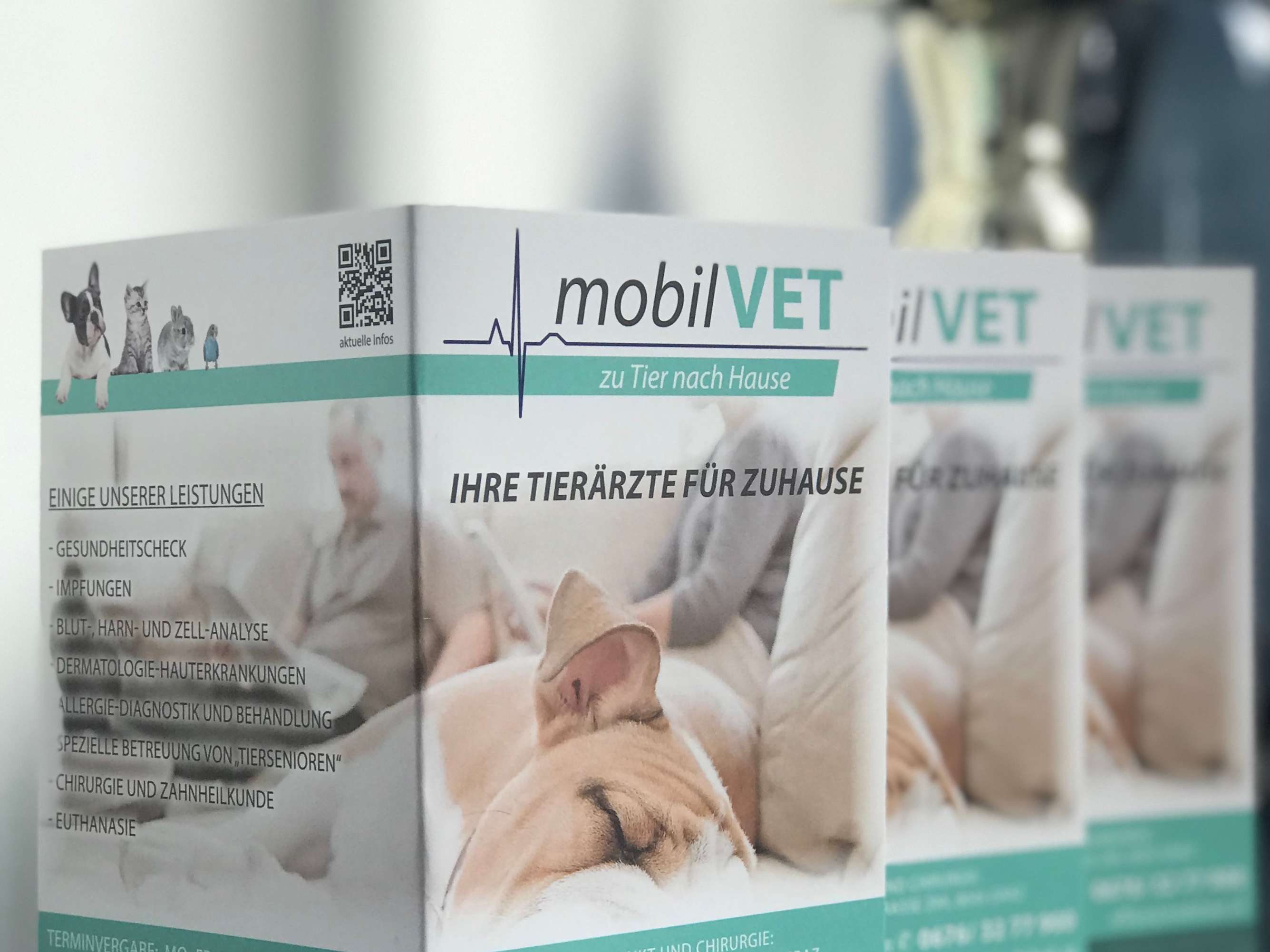 Ansicht 3 von mobilVET - Ihre Tierärzte für zu Hause🐾