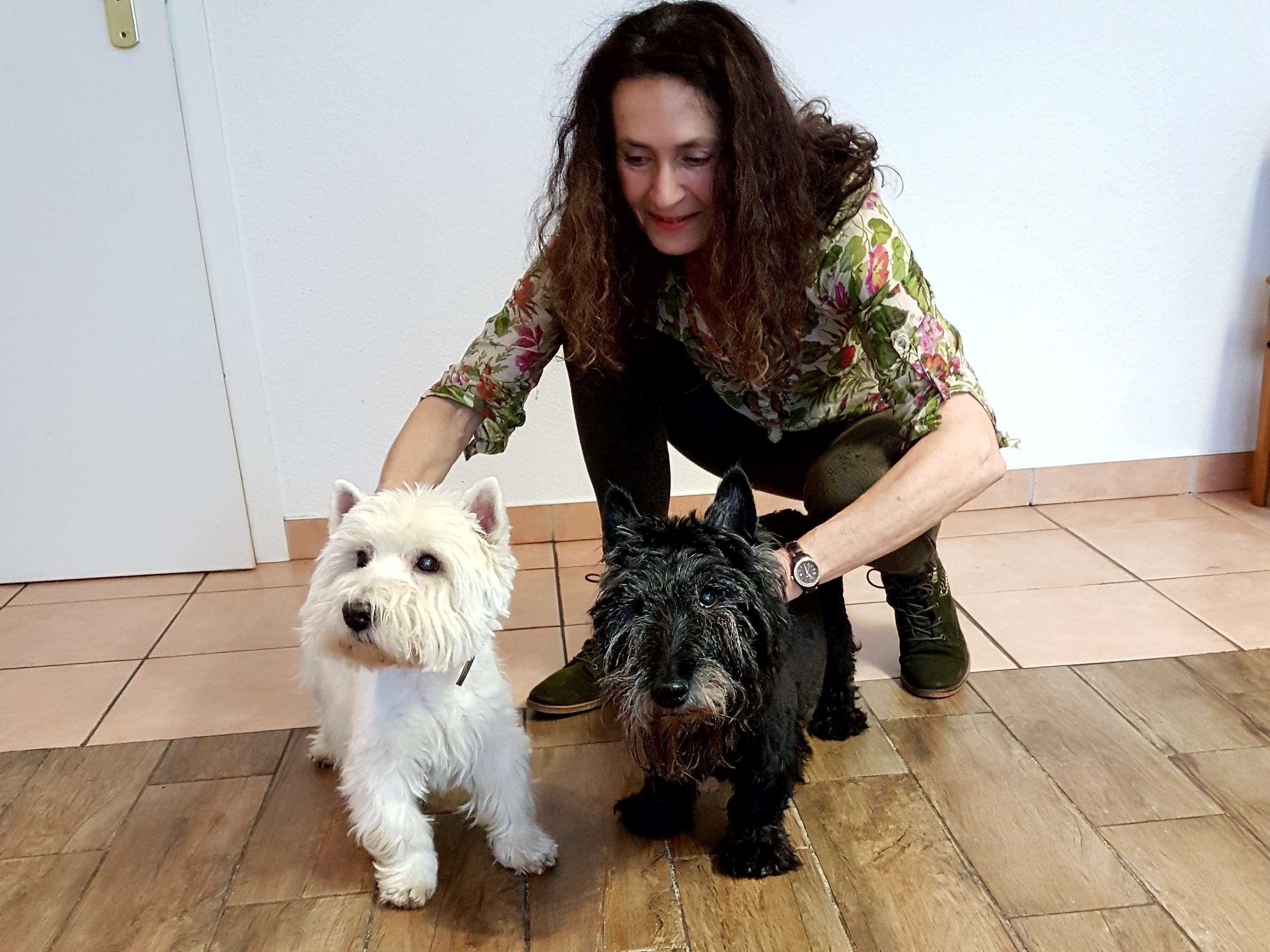 Ansicht 2 von Praxis für Integrative Tiermedizin Dr.med.vet. Sabine Scholz EVSO-C®,DOVM™