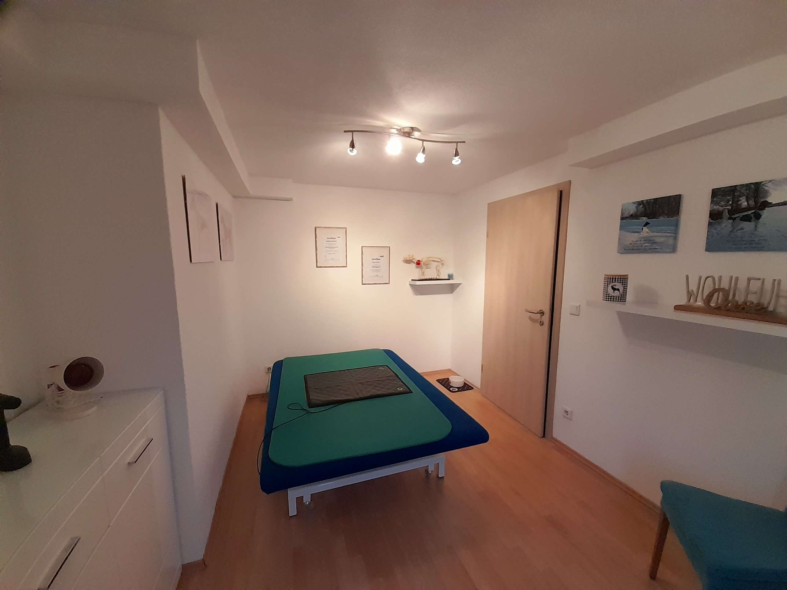 Ansicht 3 von Die Schmerzbehandlerin - Physiotherapie und Osteopathie für Hunde