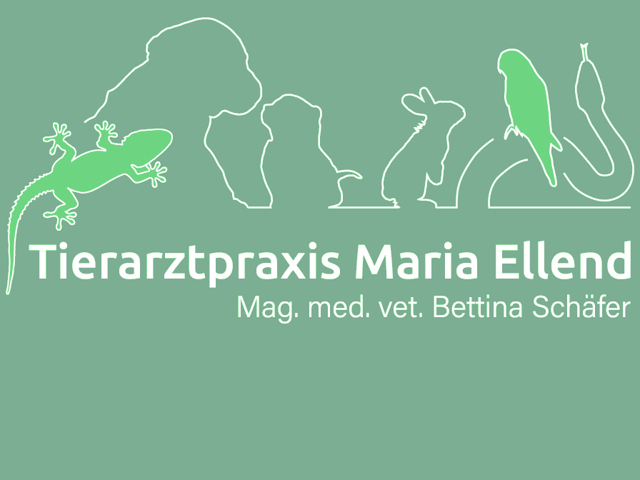 View 2 of Tierarztpraxis Maria Ellend