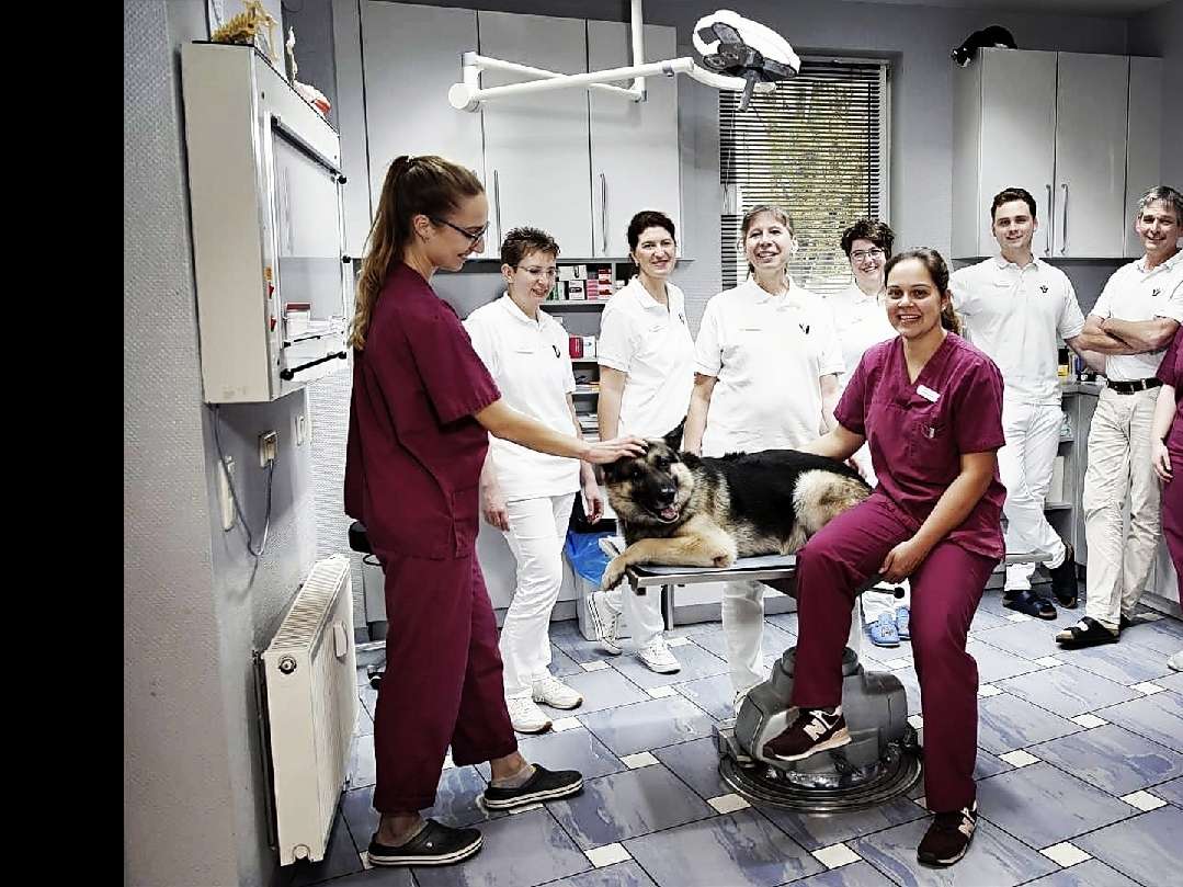 Ansicht 1 von Dr. Ostermann