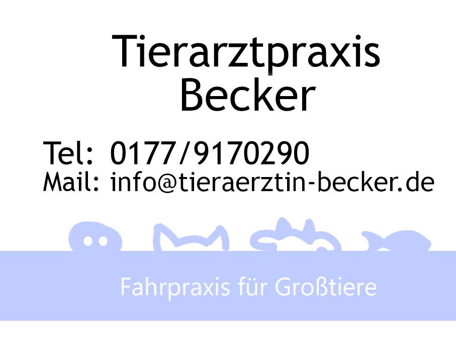 Ansicht 1 von Tierarztpraxis Marie Becker