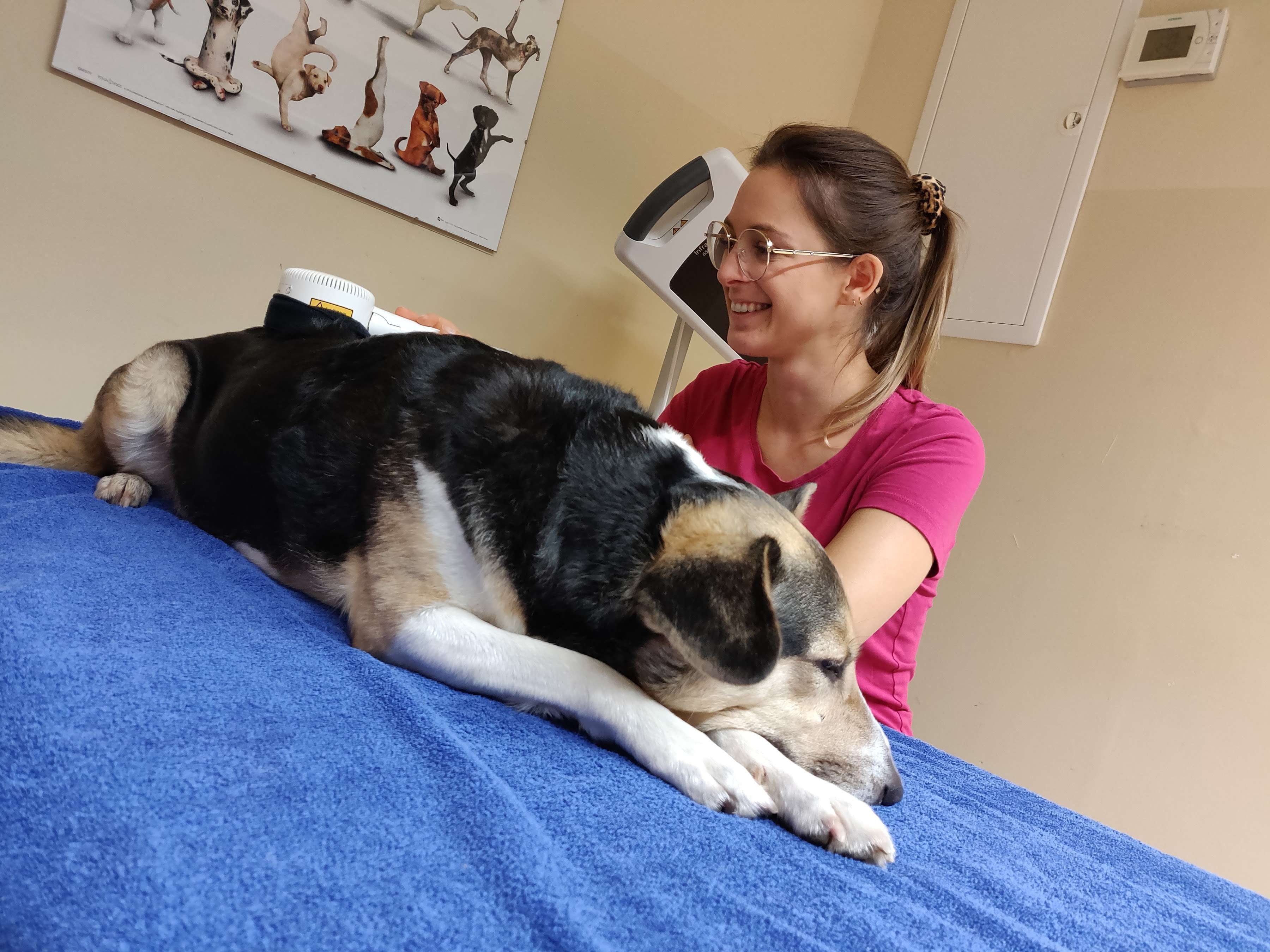 Ansicht 1 von Tierärztliches Zentrum für Physiotherapie und Rehabilitation