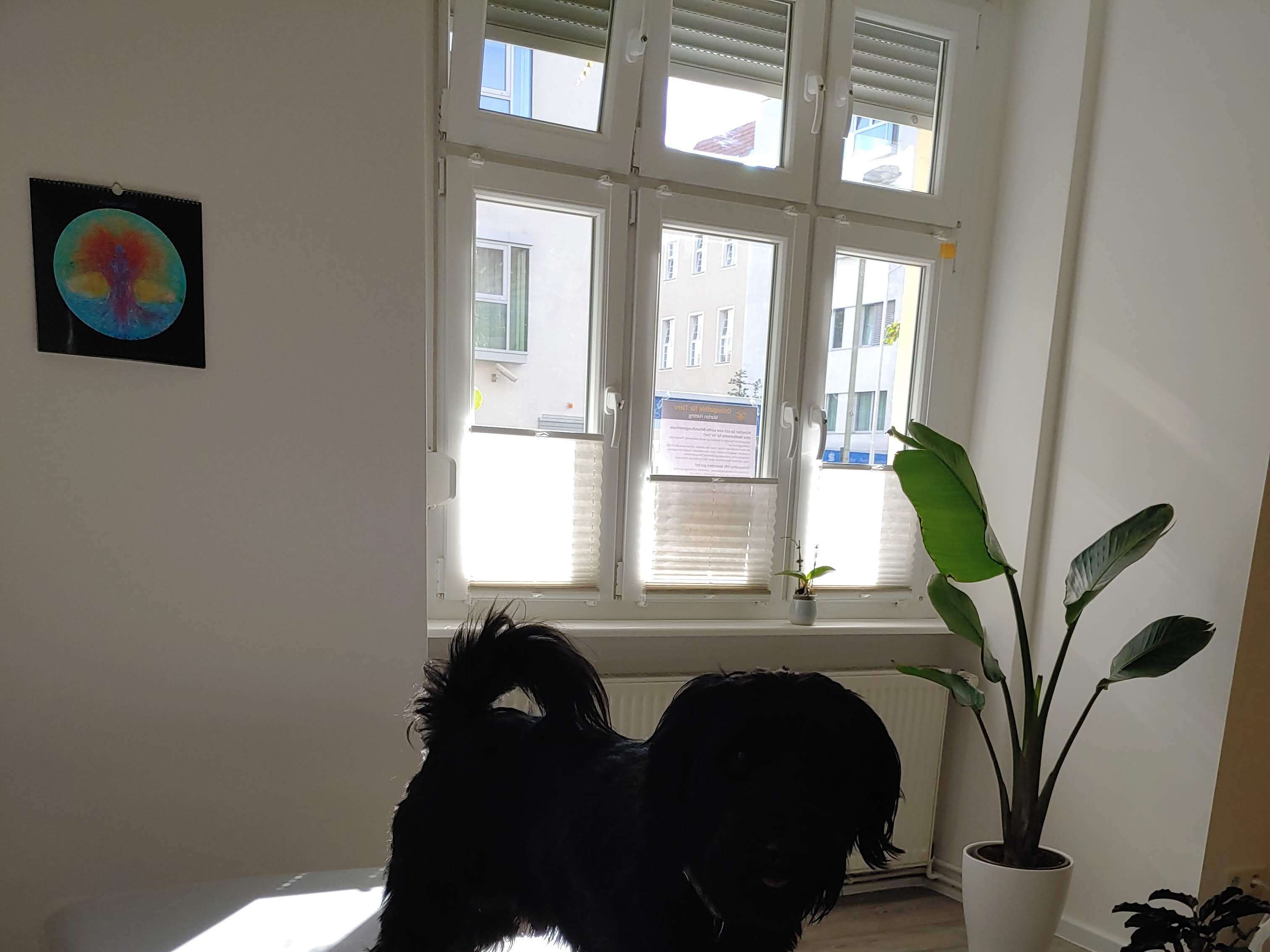 View 3 of Osteopathie für Tiere Marion Hatting