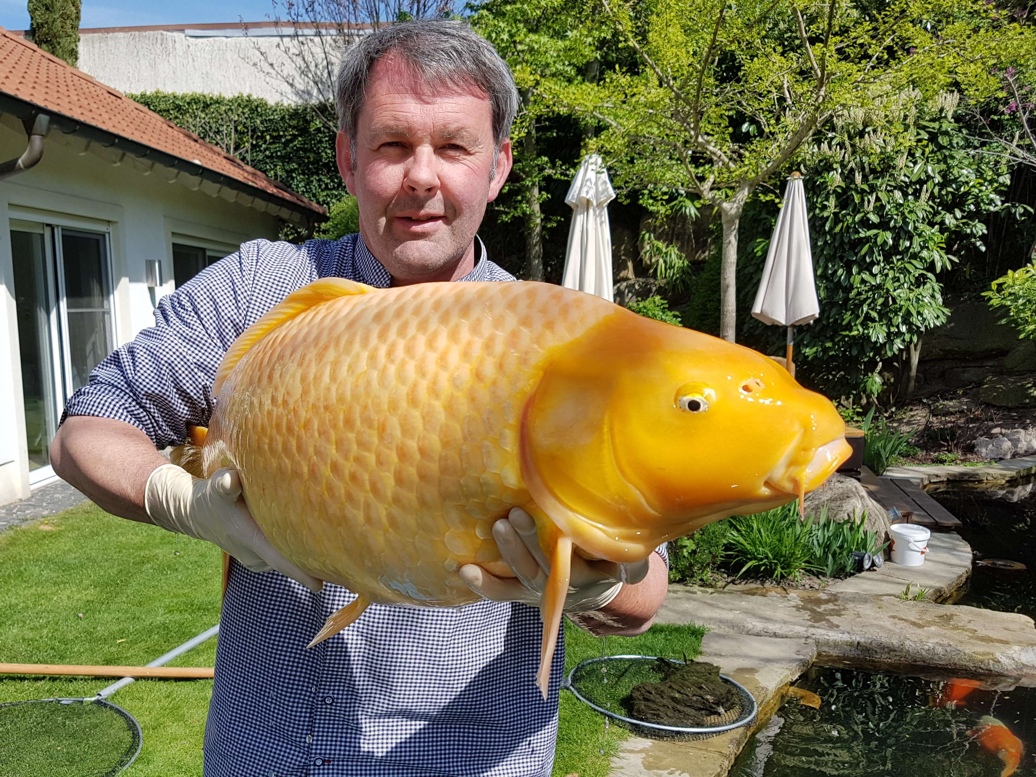 Ansicht 3 von Dr.med.vet. Achim Bretzinger Fachtierarzt für Fische