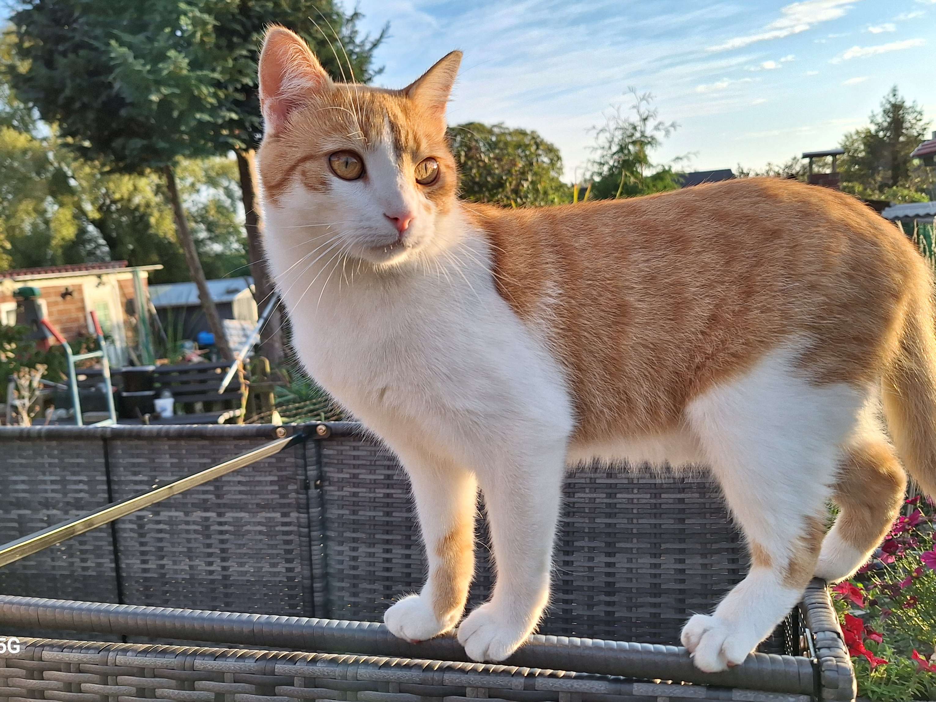 Ansicht 3 von Dr. med. vet. Heidemarie Roming