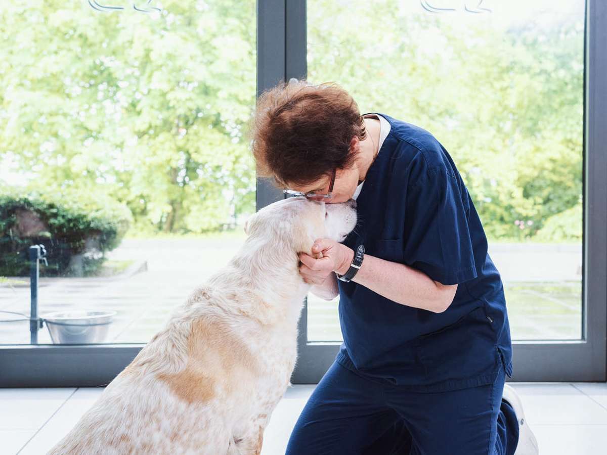 Ansicht 5 von Tierarzt Aachen, Tierärztliches Zentrum für Chirurgie Dr. Kinzel Aachen